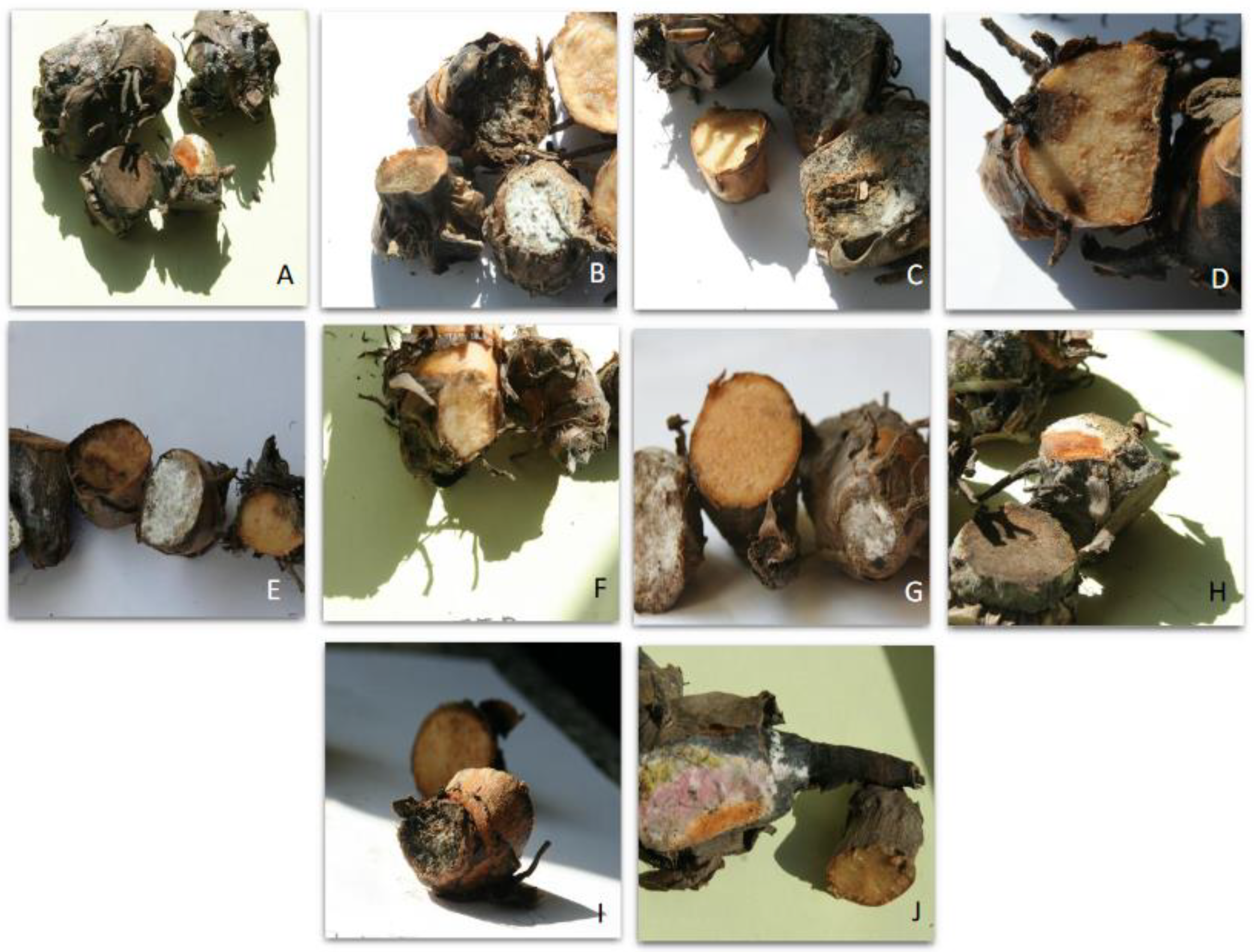 Agriculture 13 00157 g006