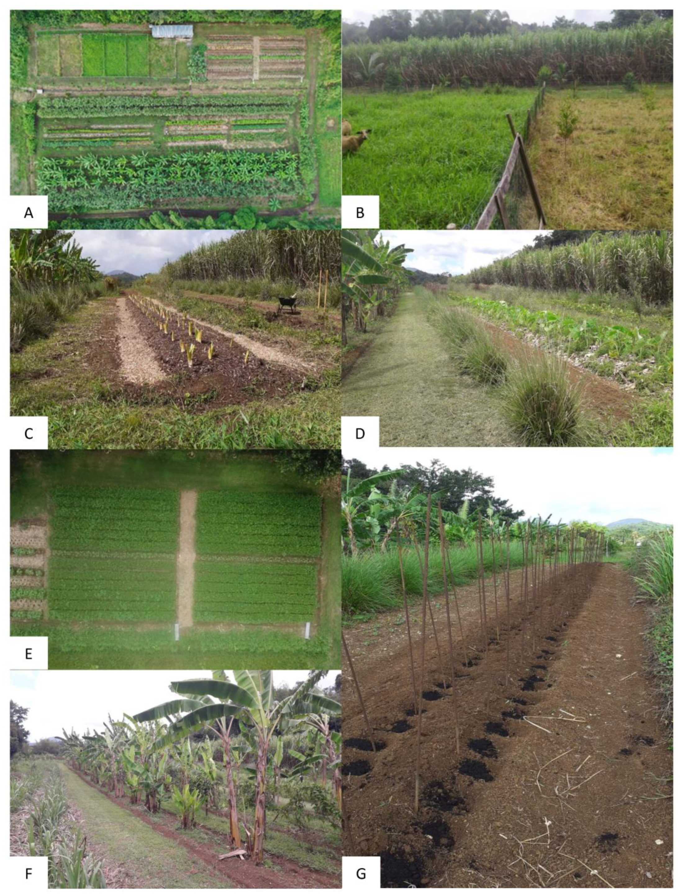 Agriculture 13 00159 g003