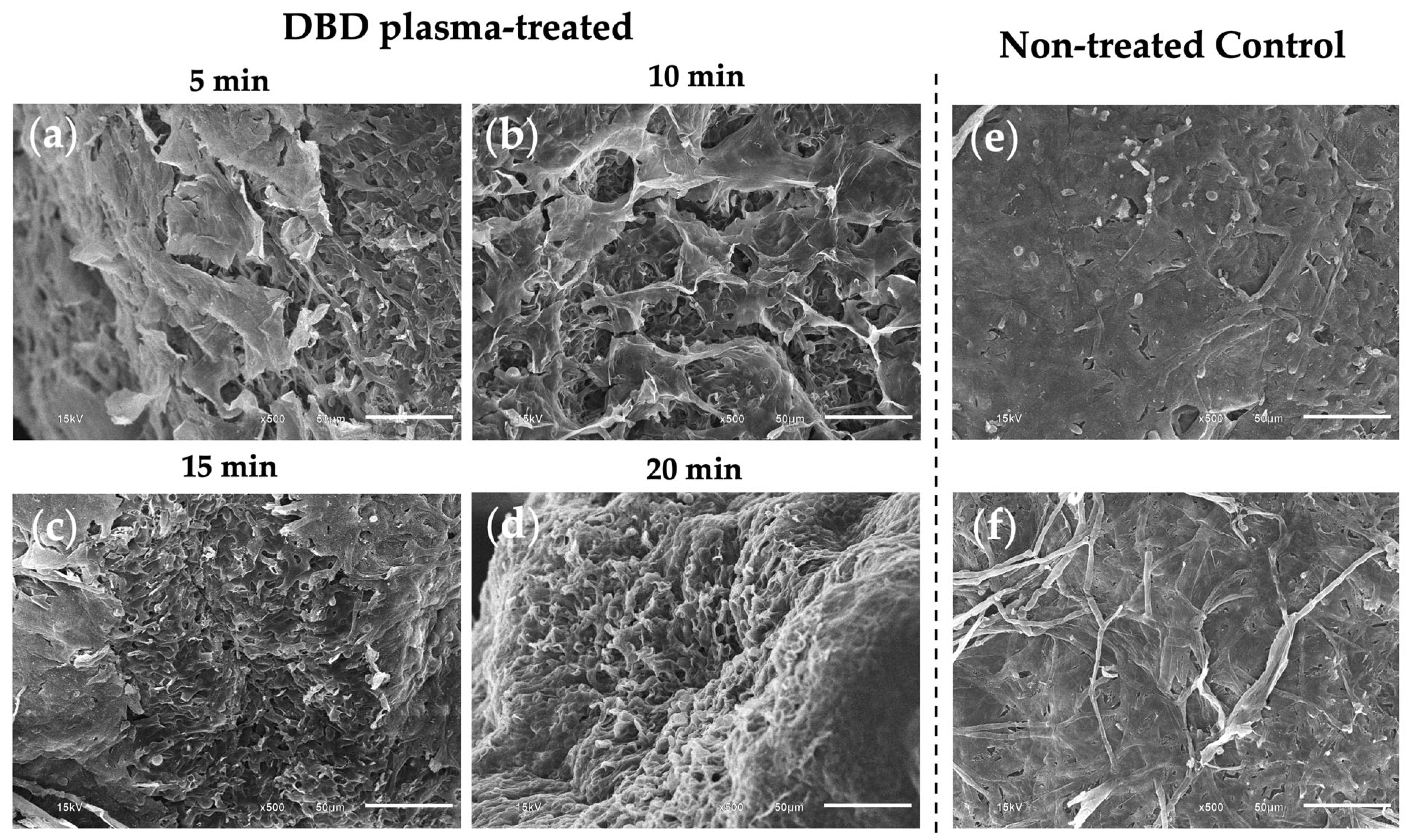Agriculture 13 00167 g004