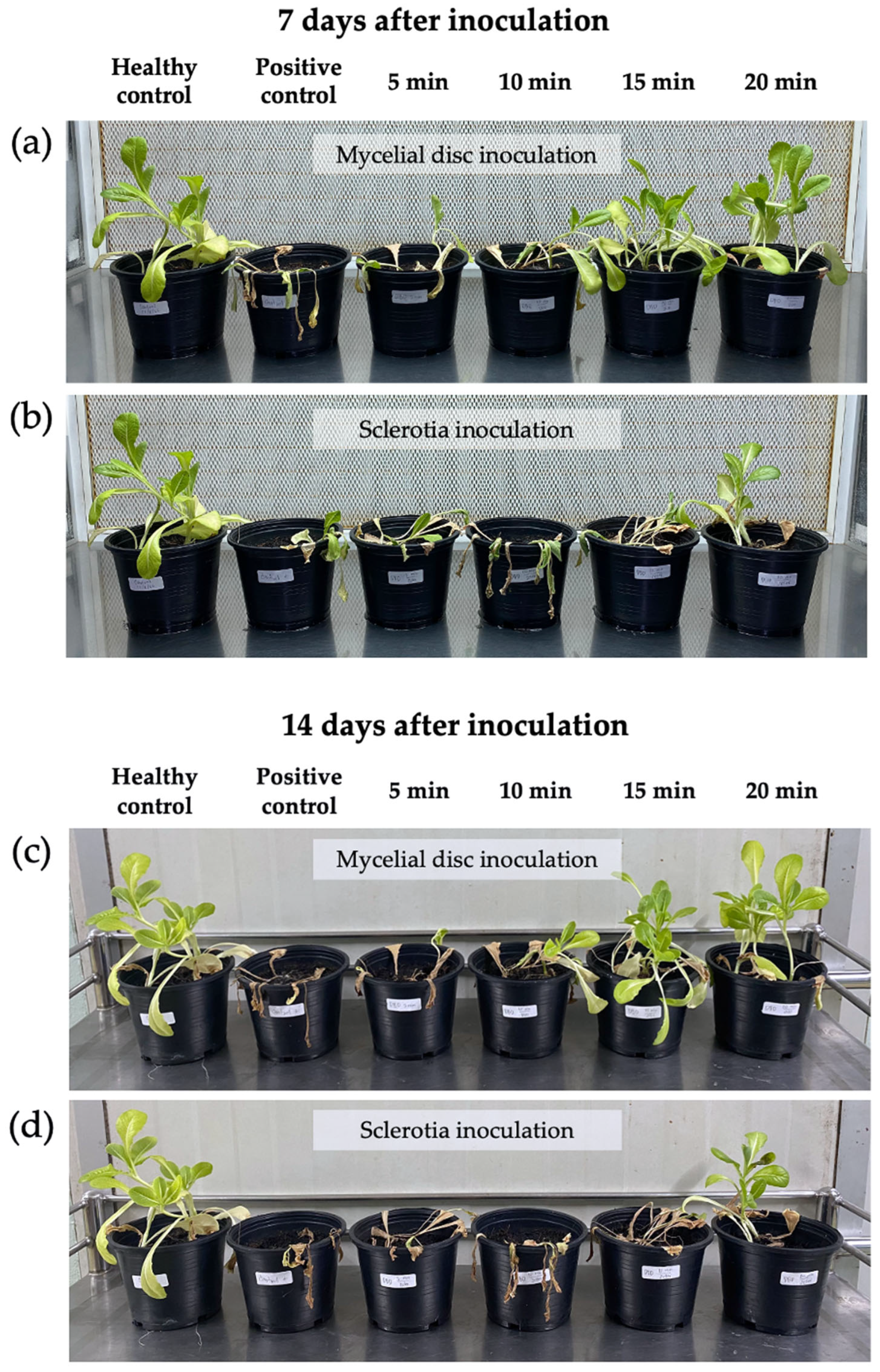 Agriculture 13 00167 g005