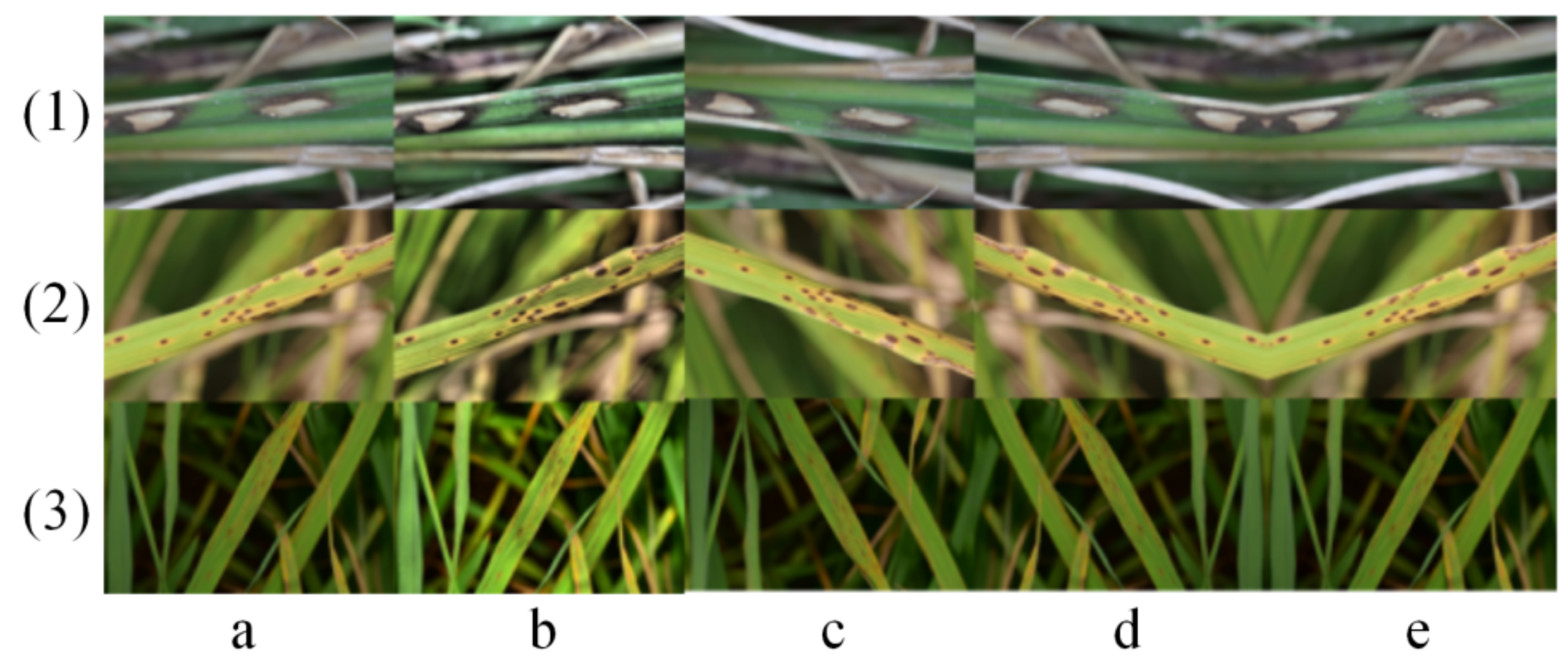 Agriculture 13 00170 g001