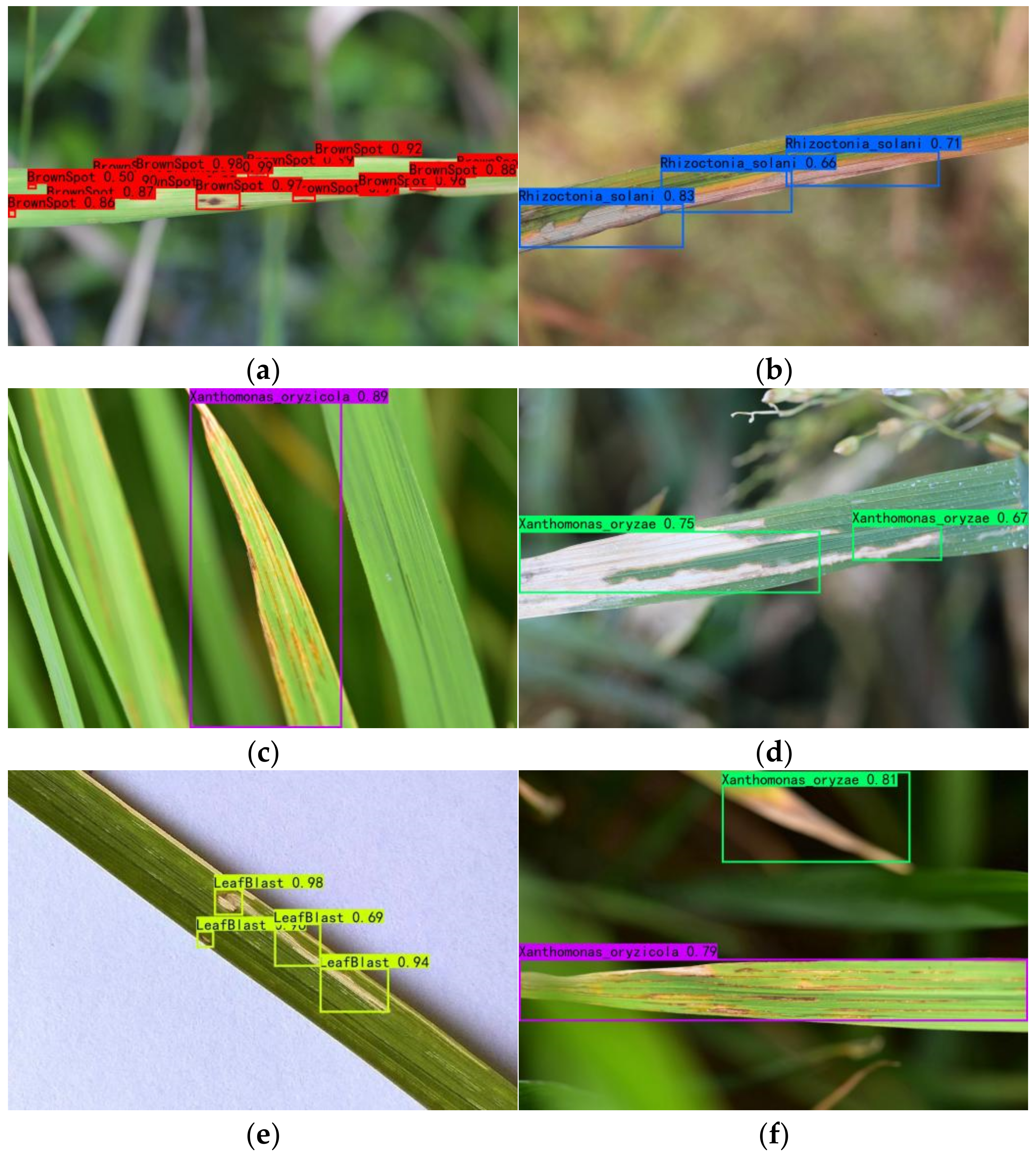 Agriculture 13 00170 g008