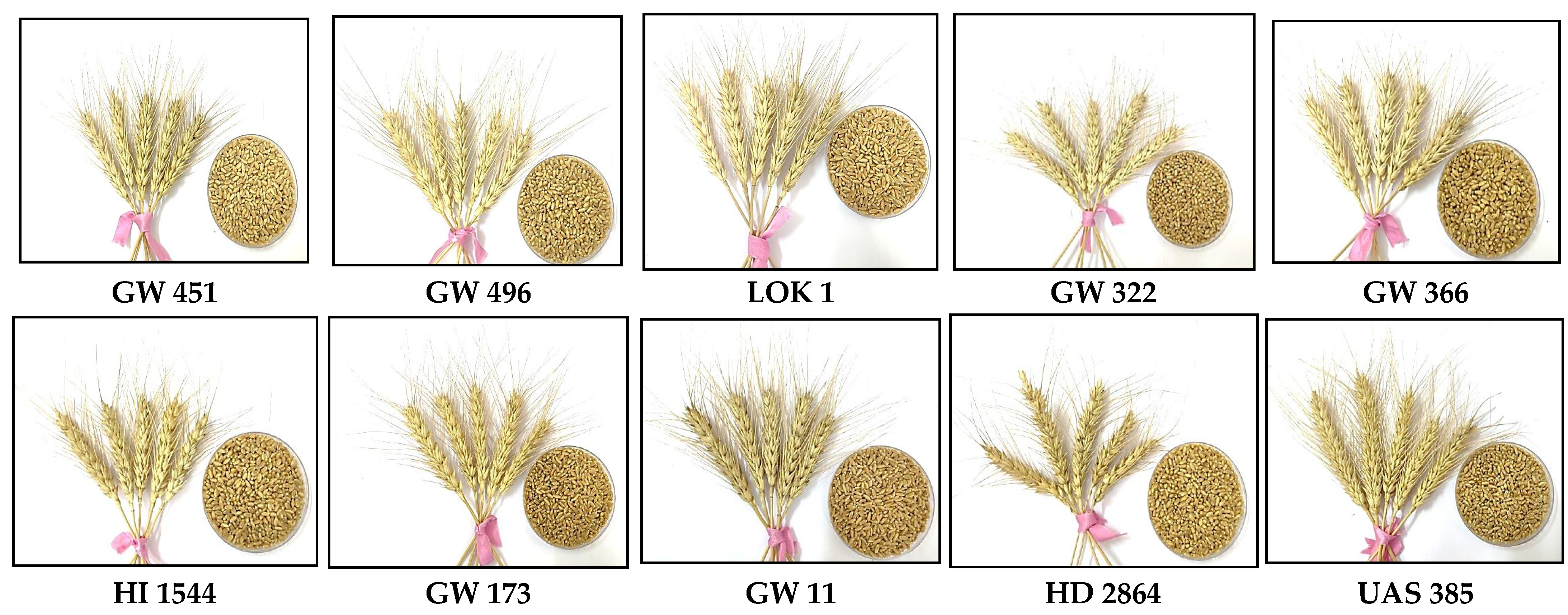 Agriculture 13 00171 g002