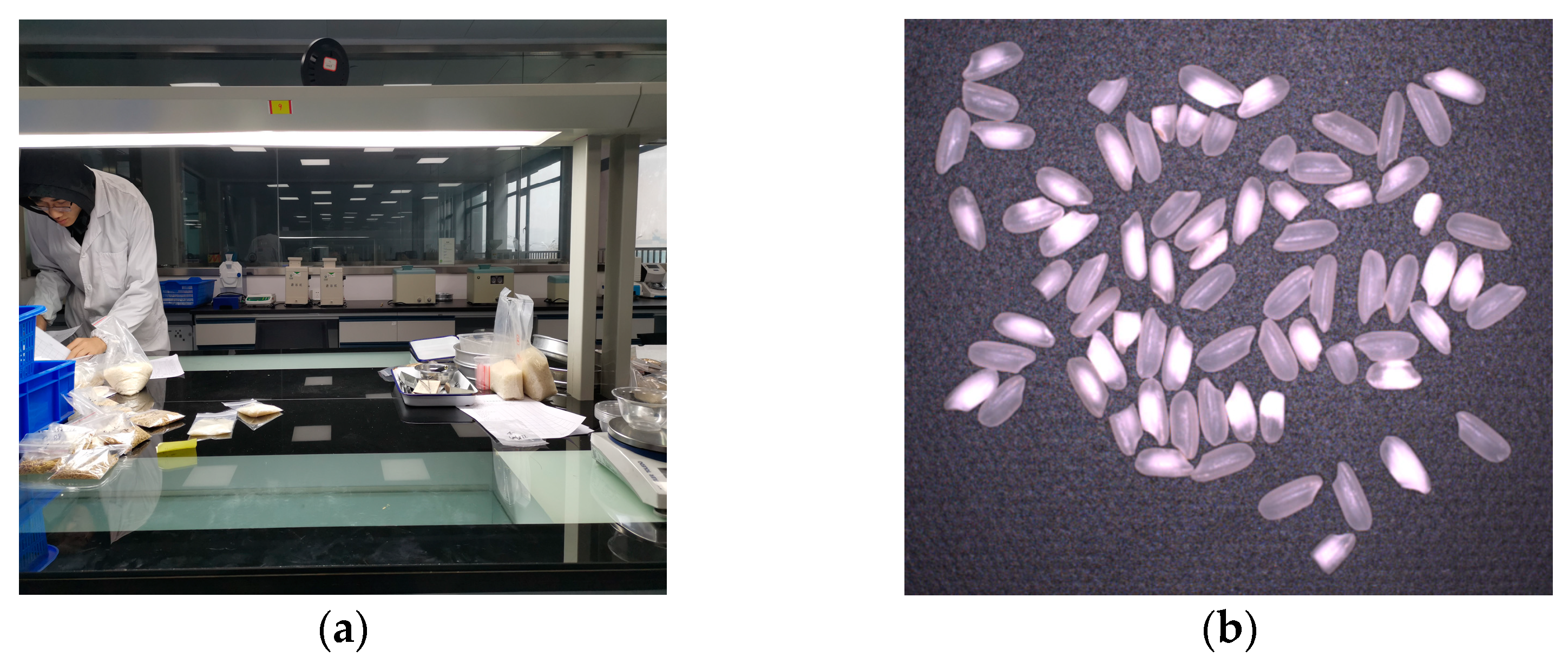 Agriculture 13 00182 g001