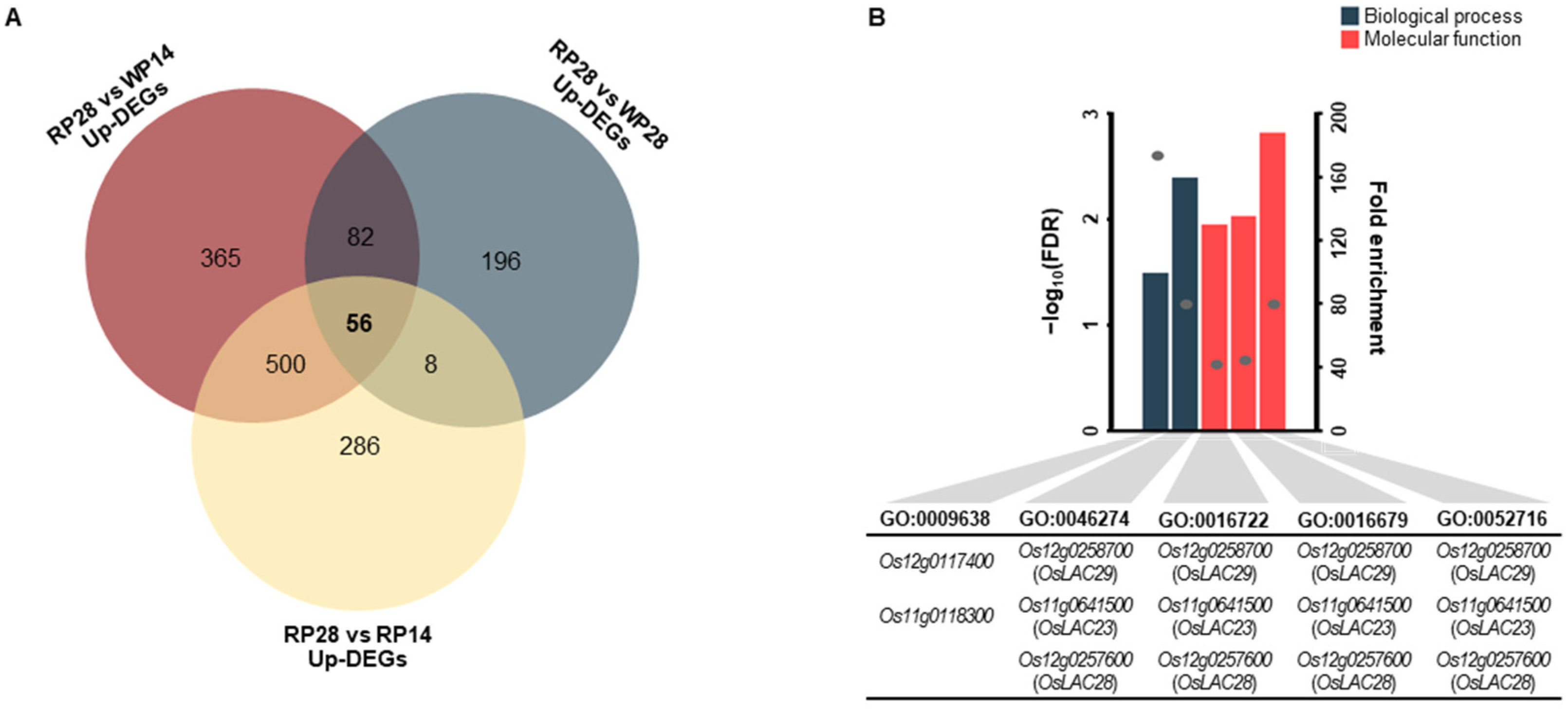 Agriculture 13 00183 g005