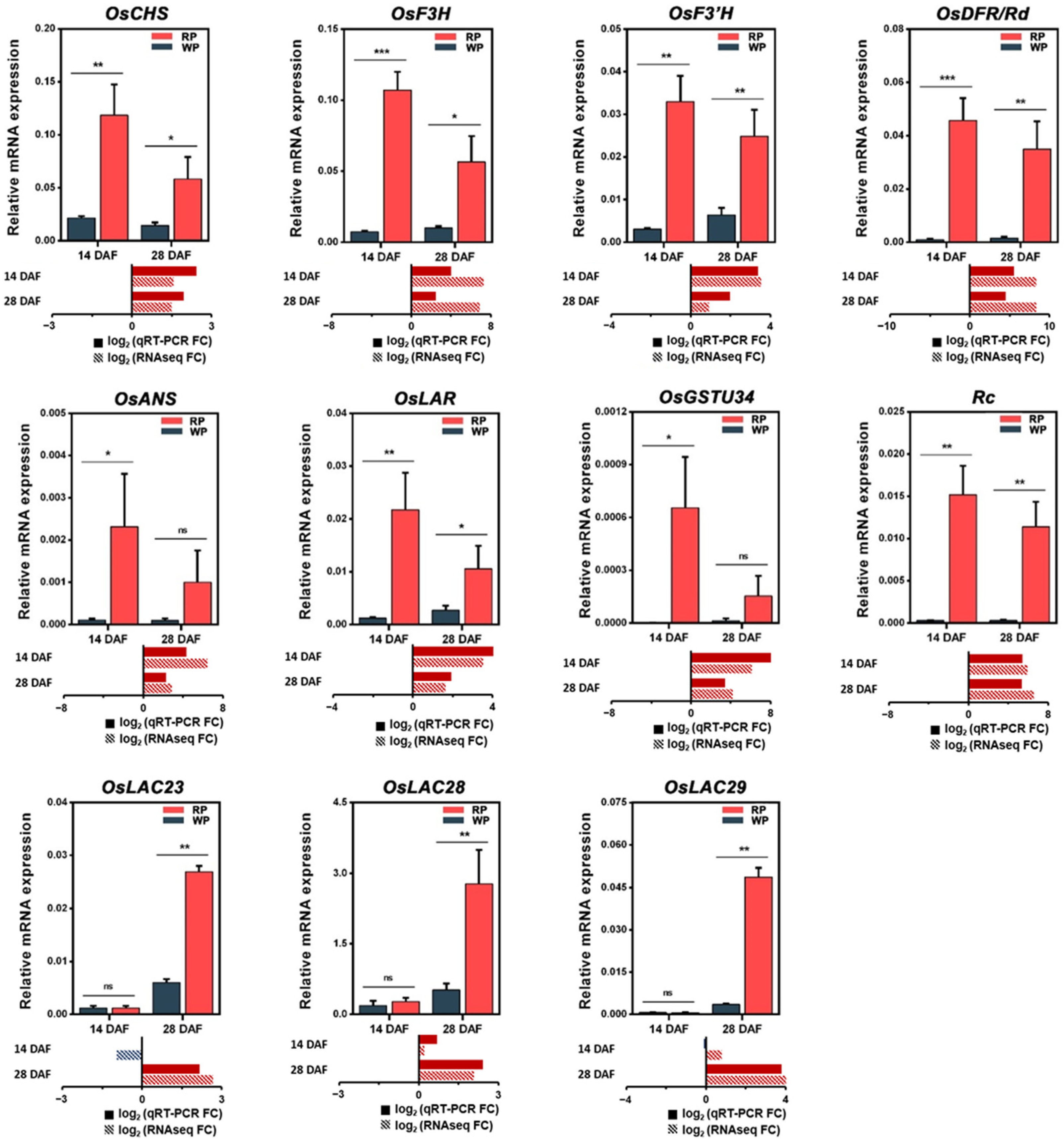 Agriculture 13 00183 g006