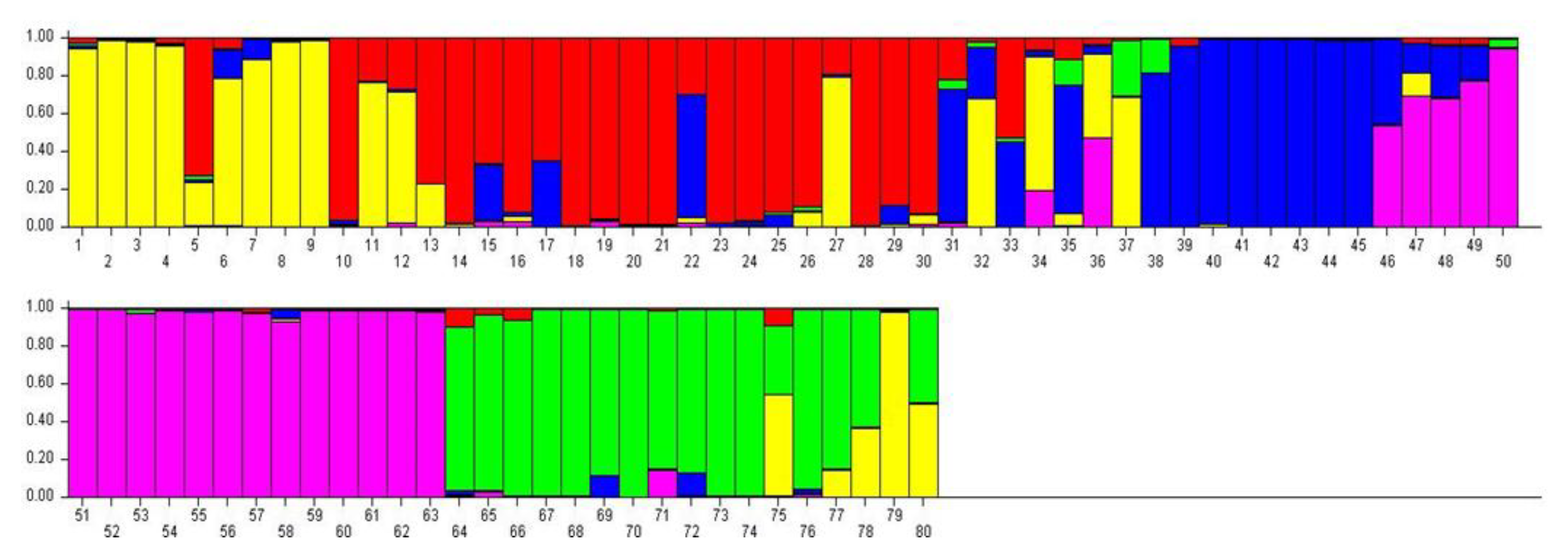 Agriculture 13 00185 g005