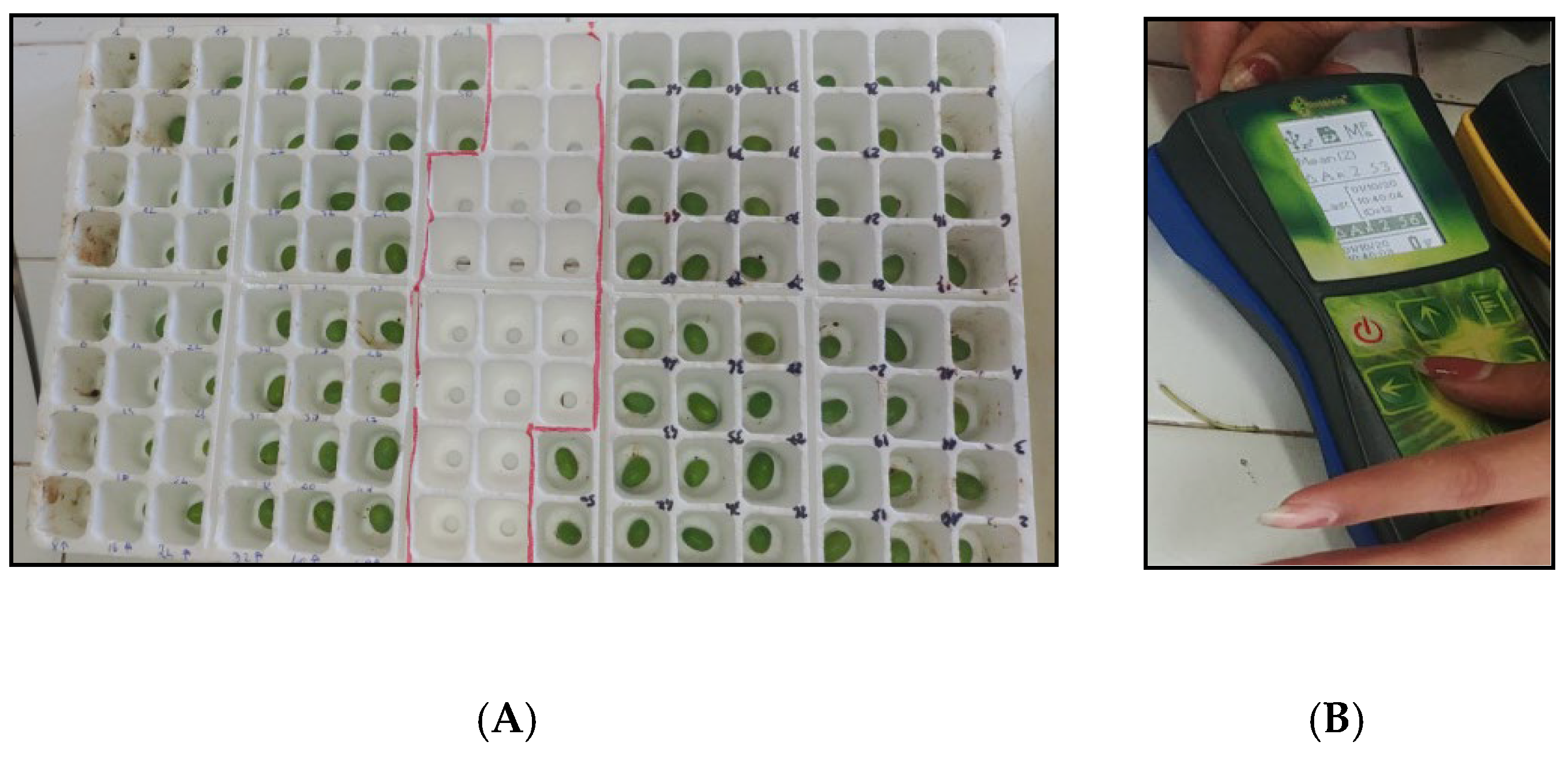 Agriculture 13 00194 sch001