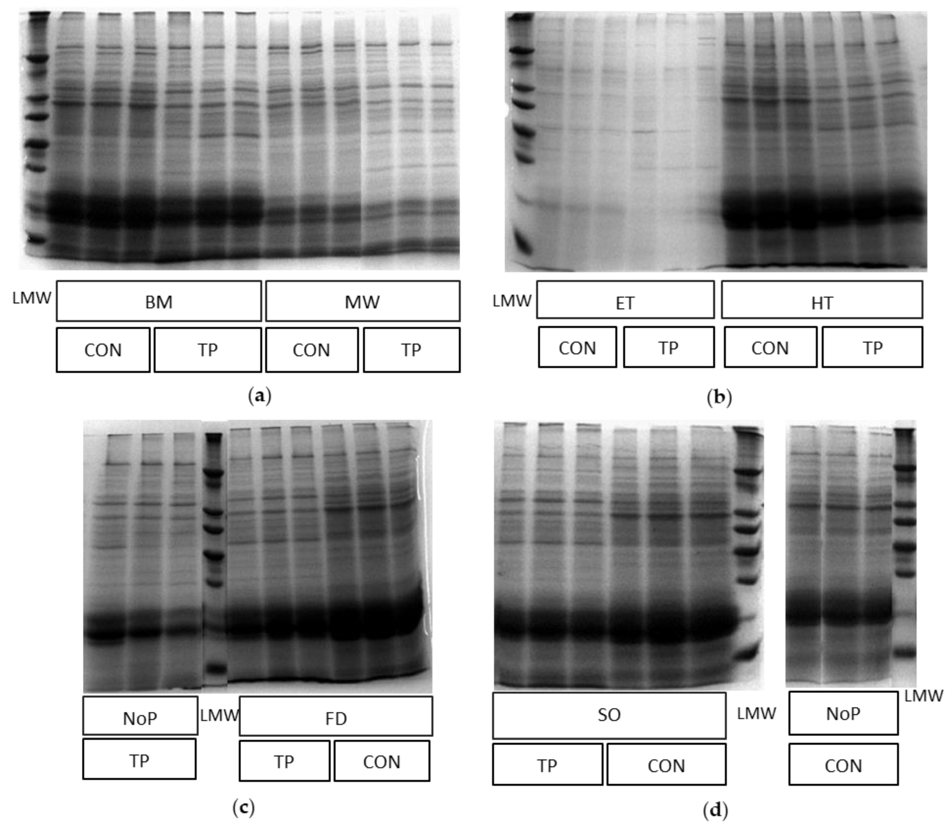 Agriculture 13 00198 g002