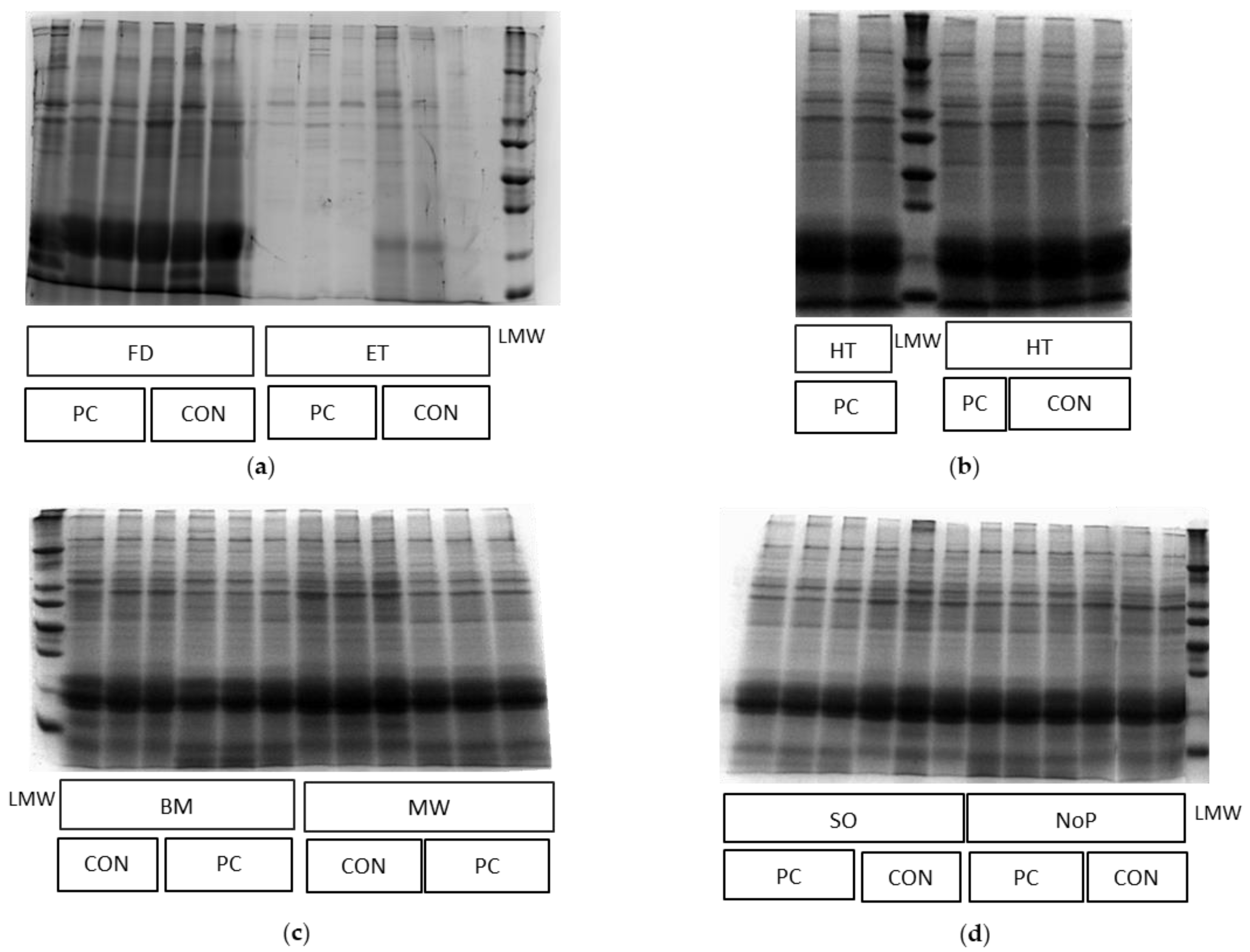 Agriculture 13 00198 g003