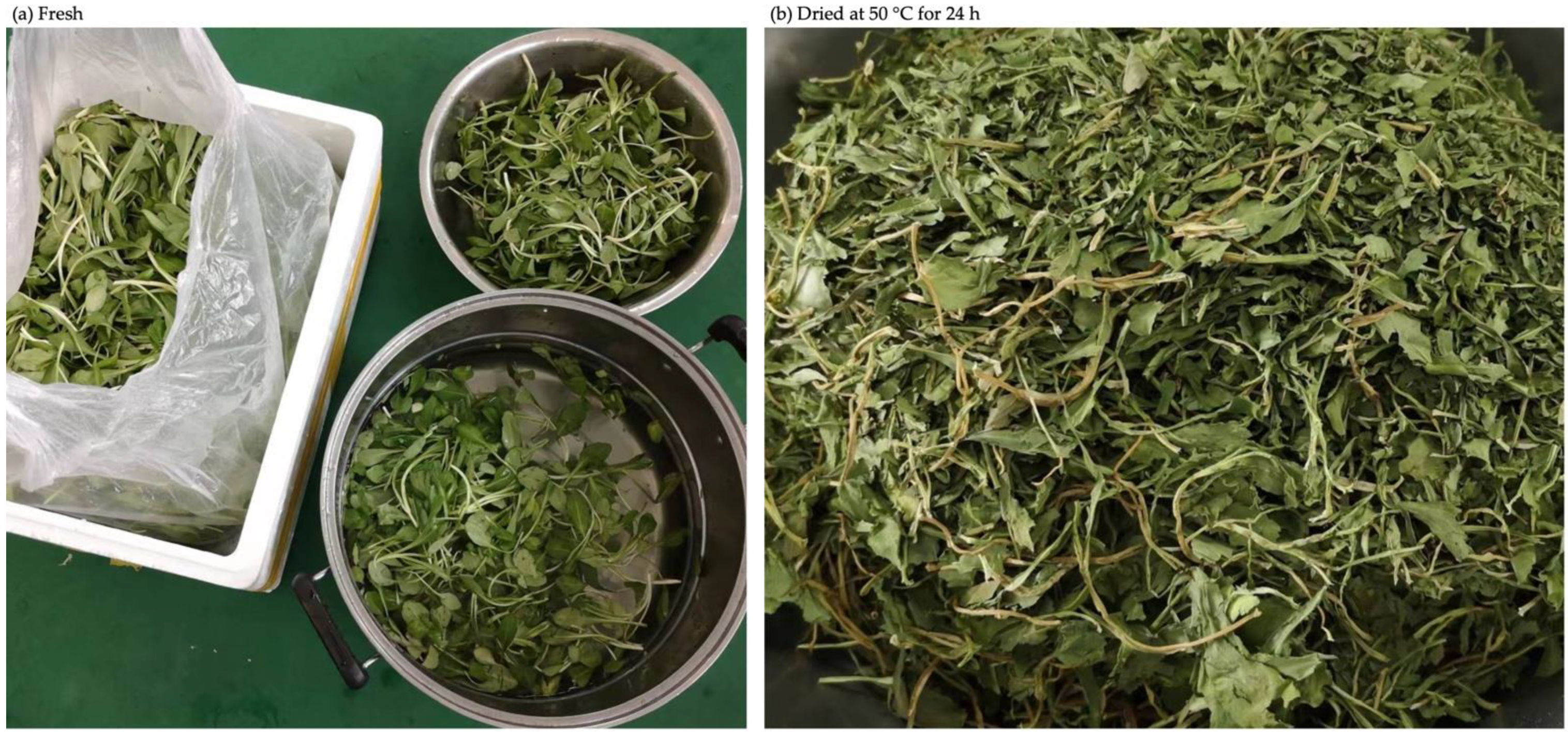 Agriculture 13 00211 g0a1