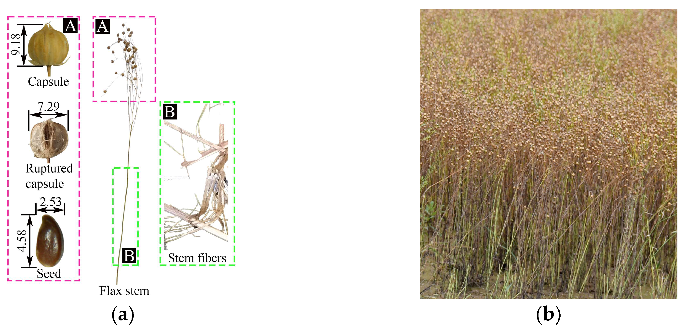 Agriculture 13 00229 g001