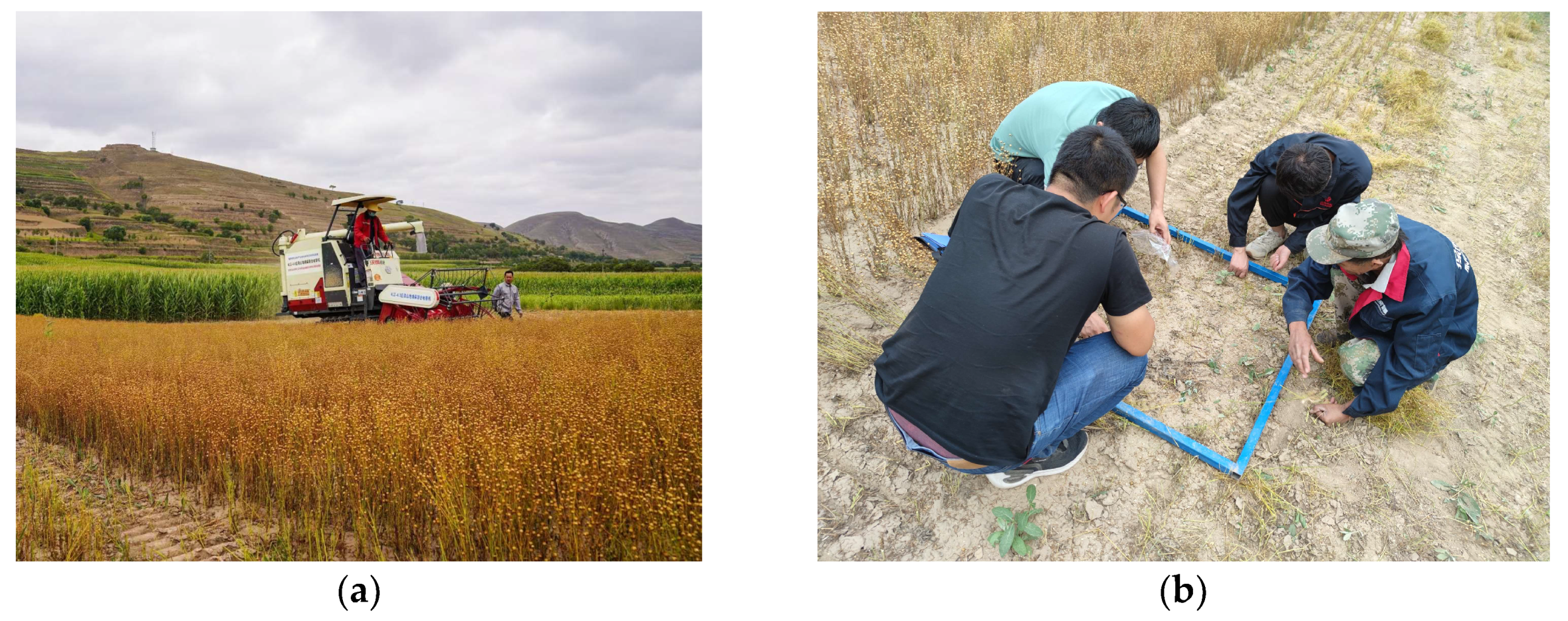 Agriculture 13 00229 g012