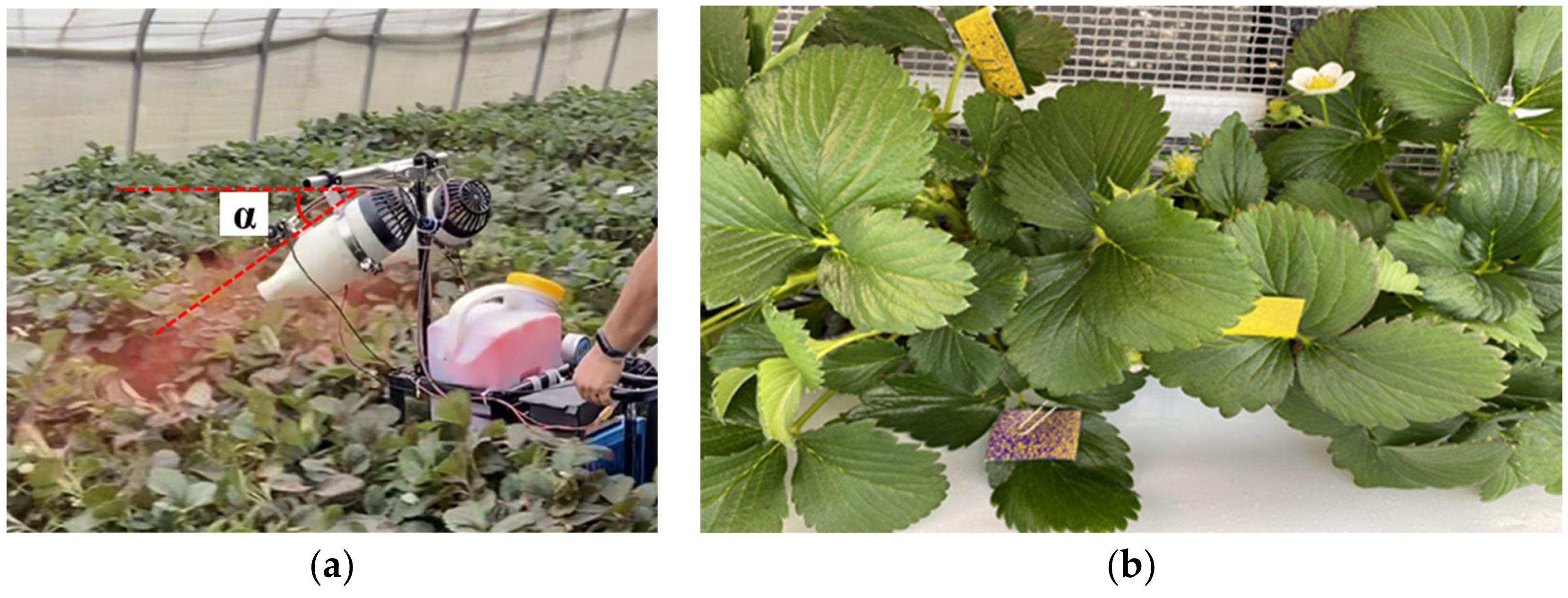 Agriculture 13 00230 g005