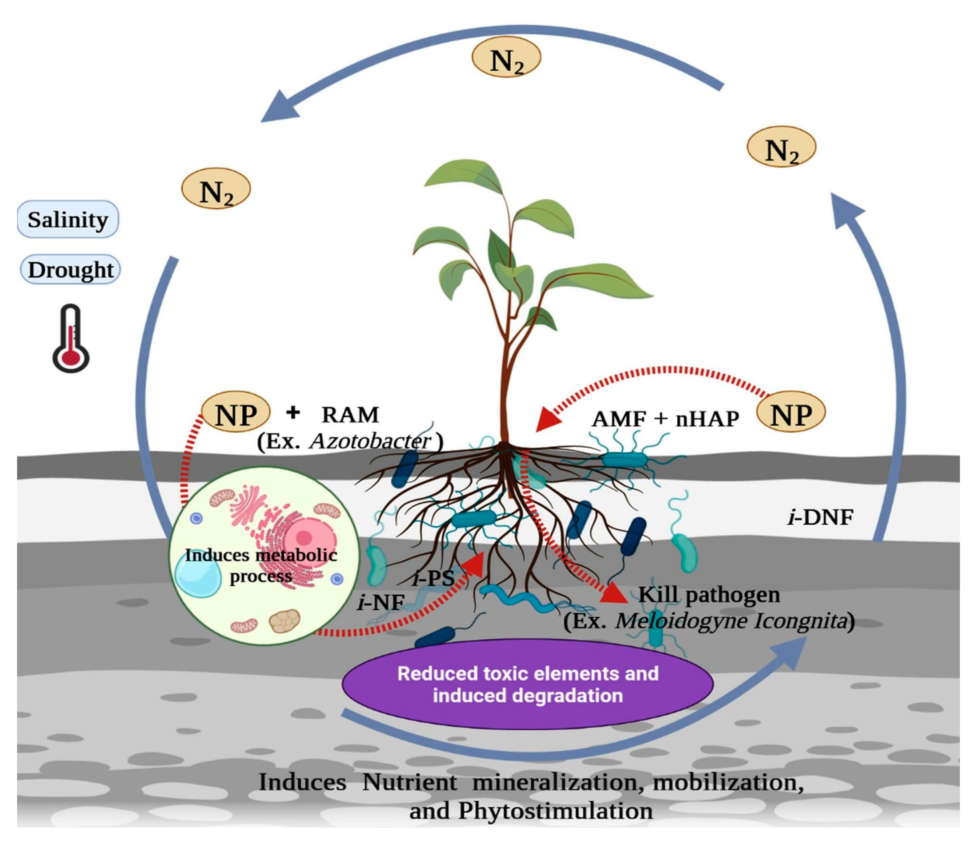 Agriculture 13 00231 g001
