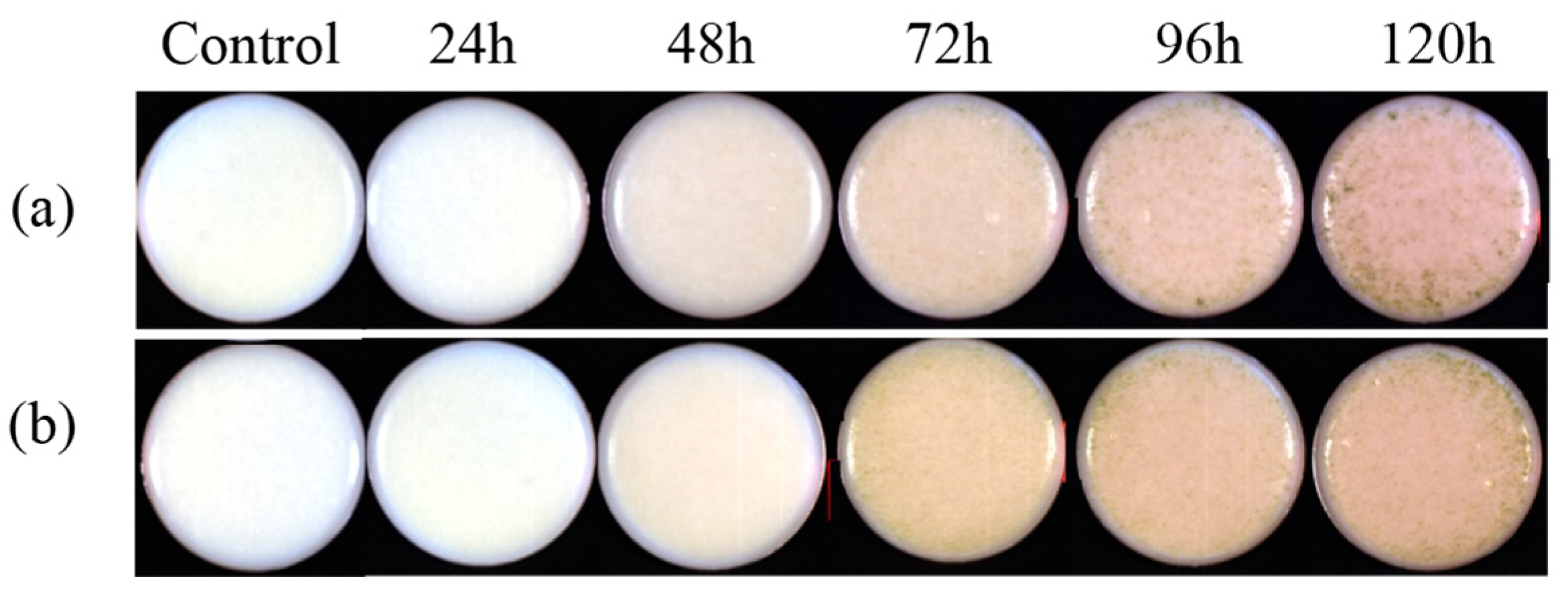Agriculture 13 00237 g001