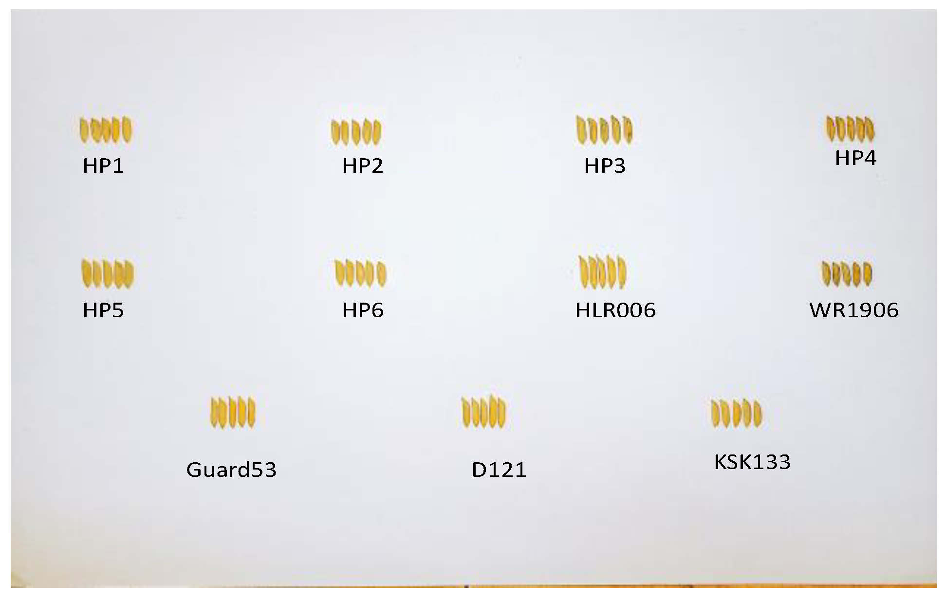 Agriculture 13 00242 g001