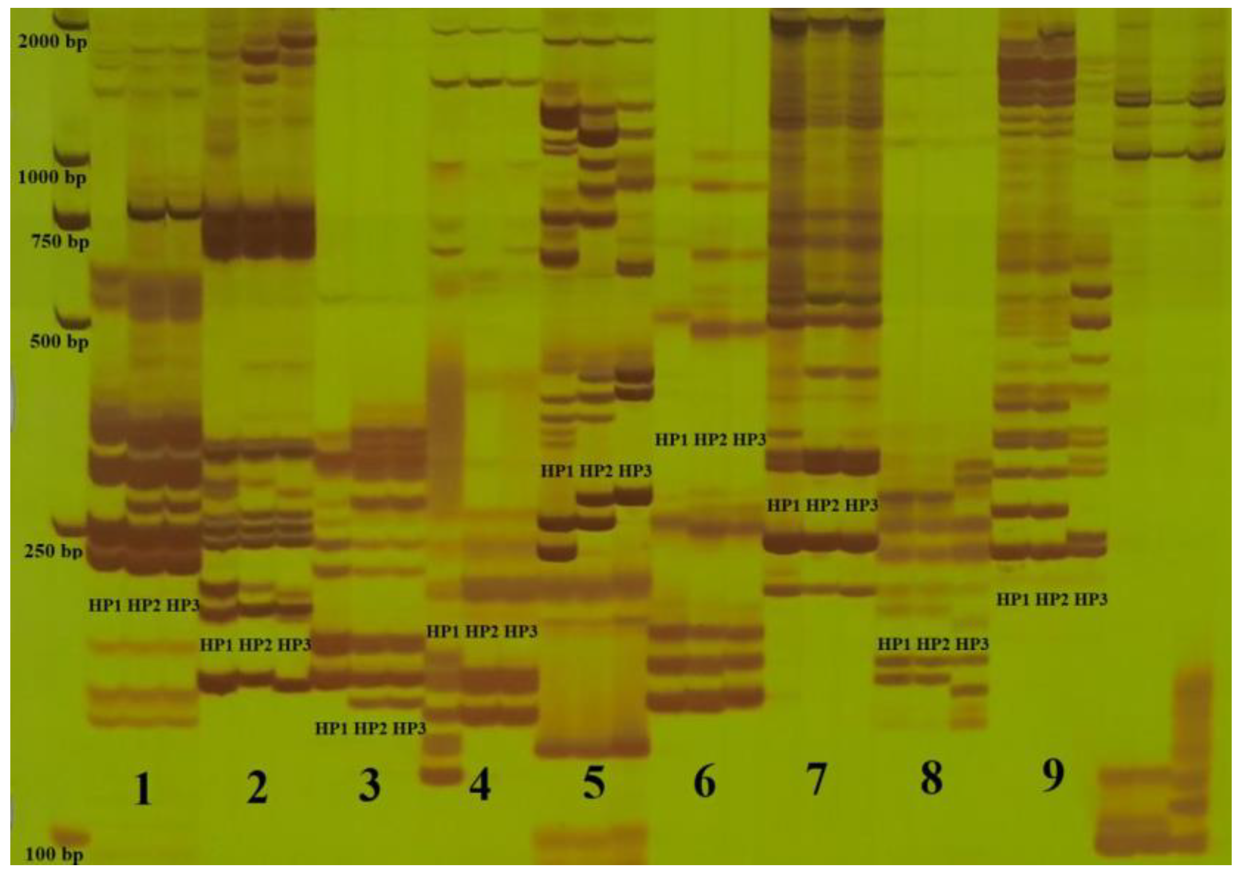 Agriculture 13 00242 g002