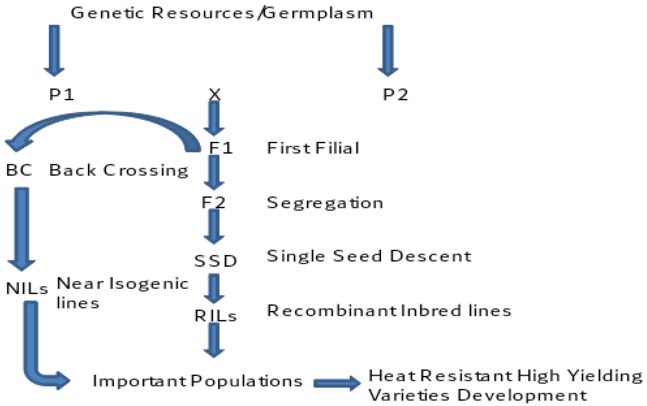 Agriculture 13 00242 g006