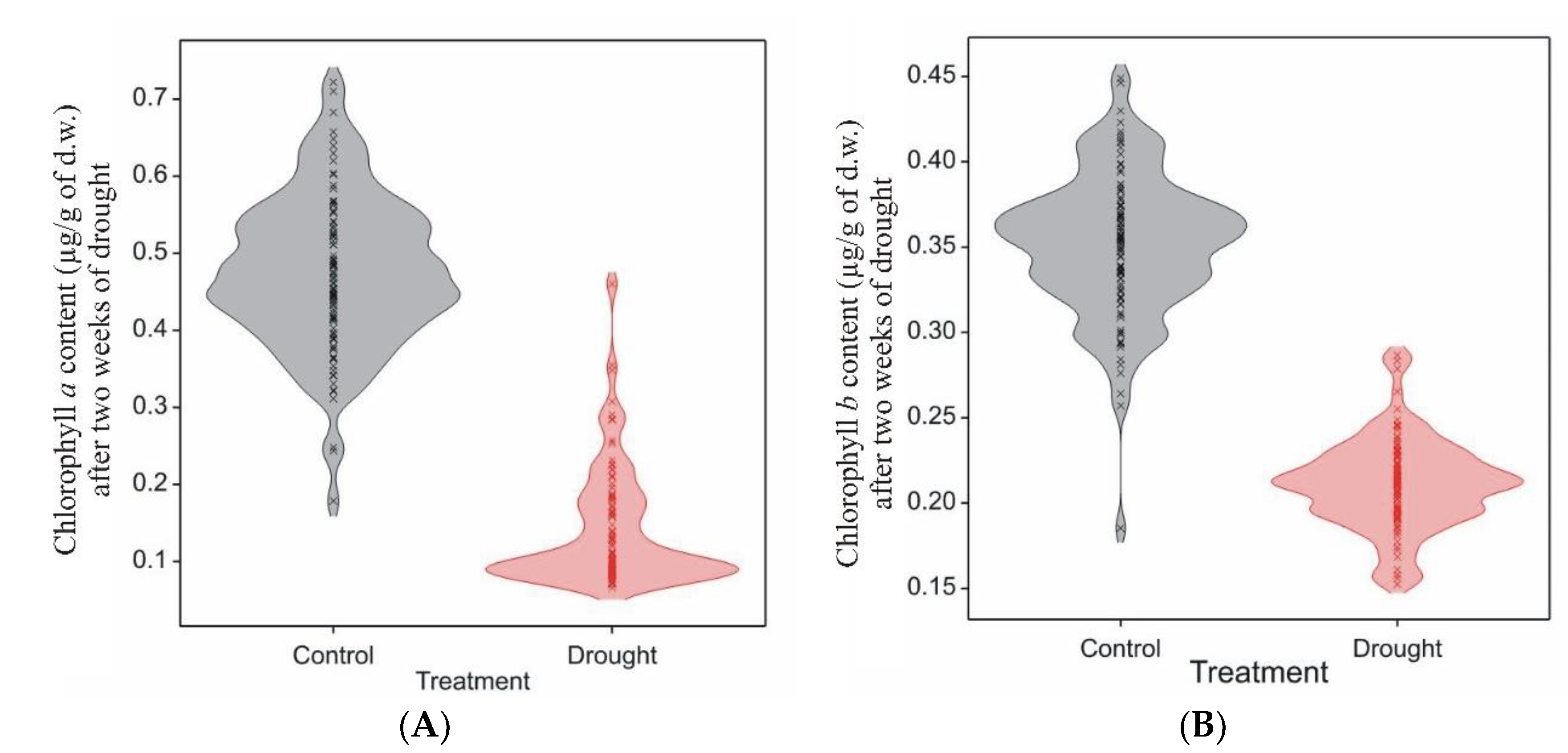 Agriculture 13 00243 g001