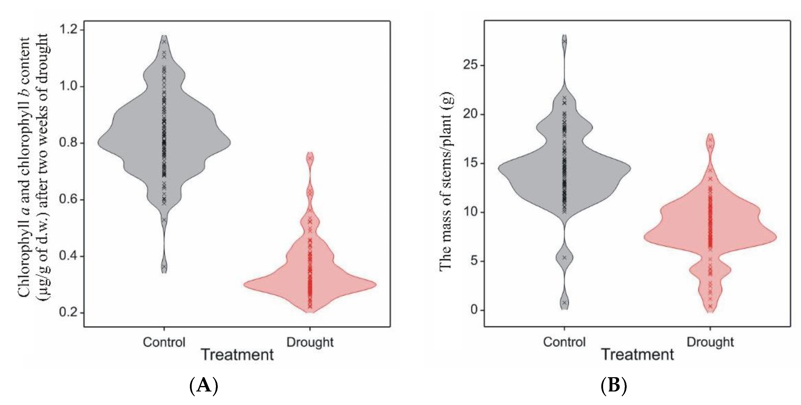 Agriculture 13 00243 g002