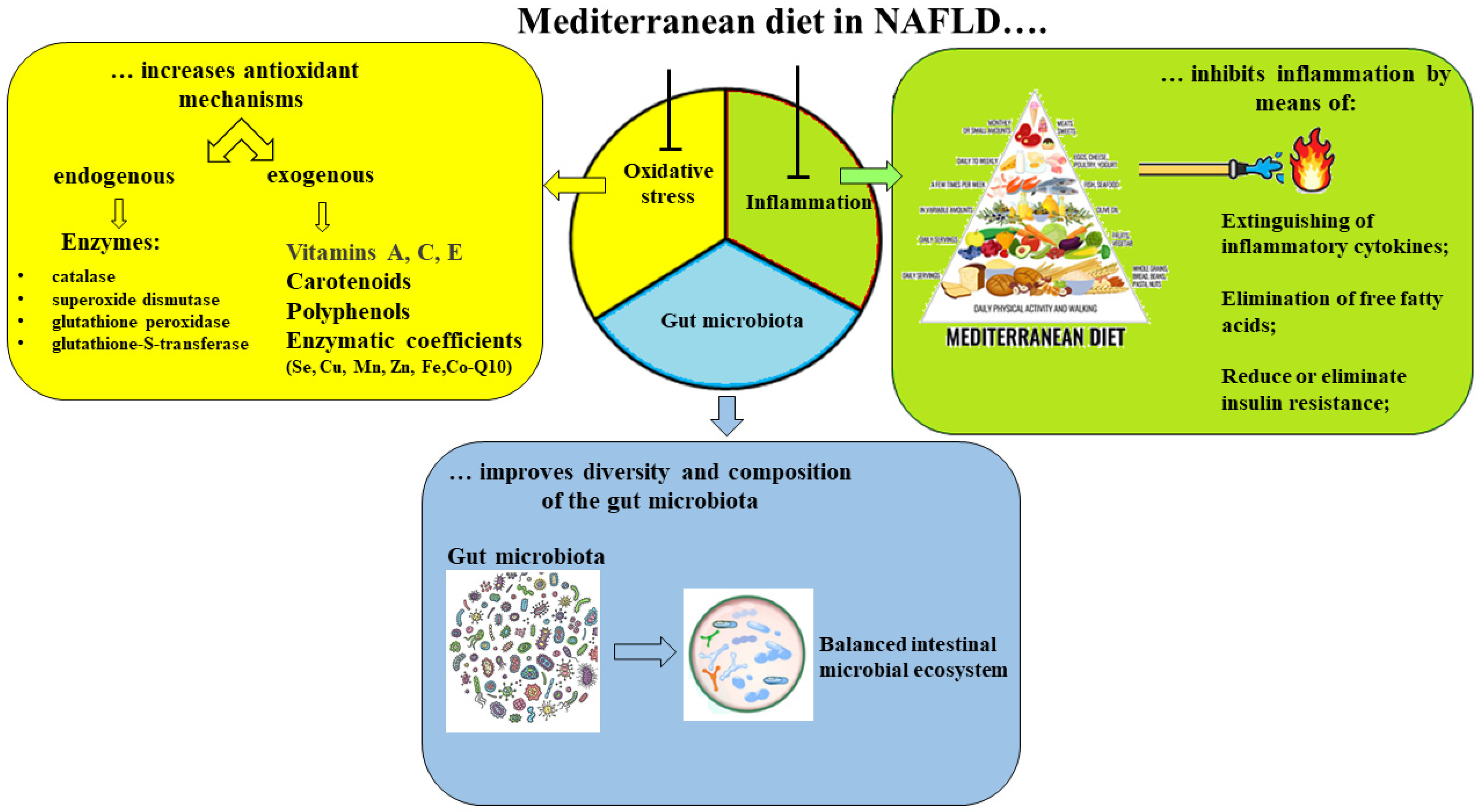 Agriculture 13 00249 g002