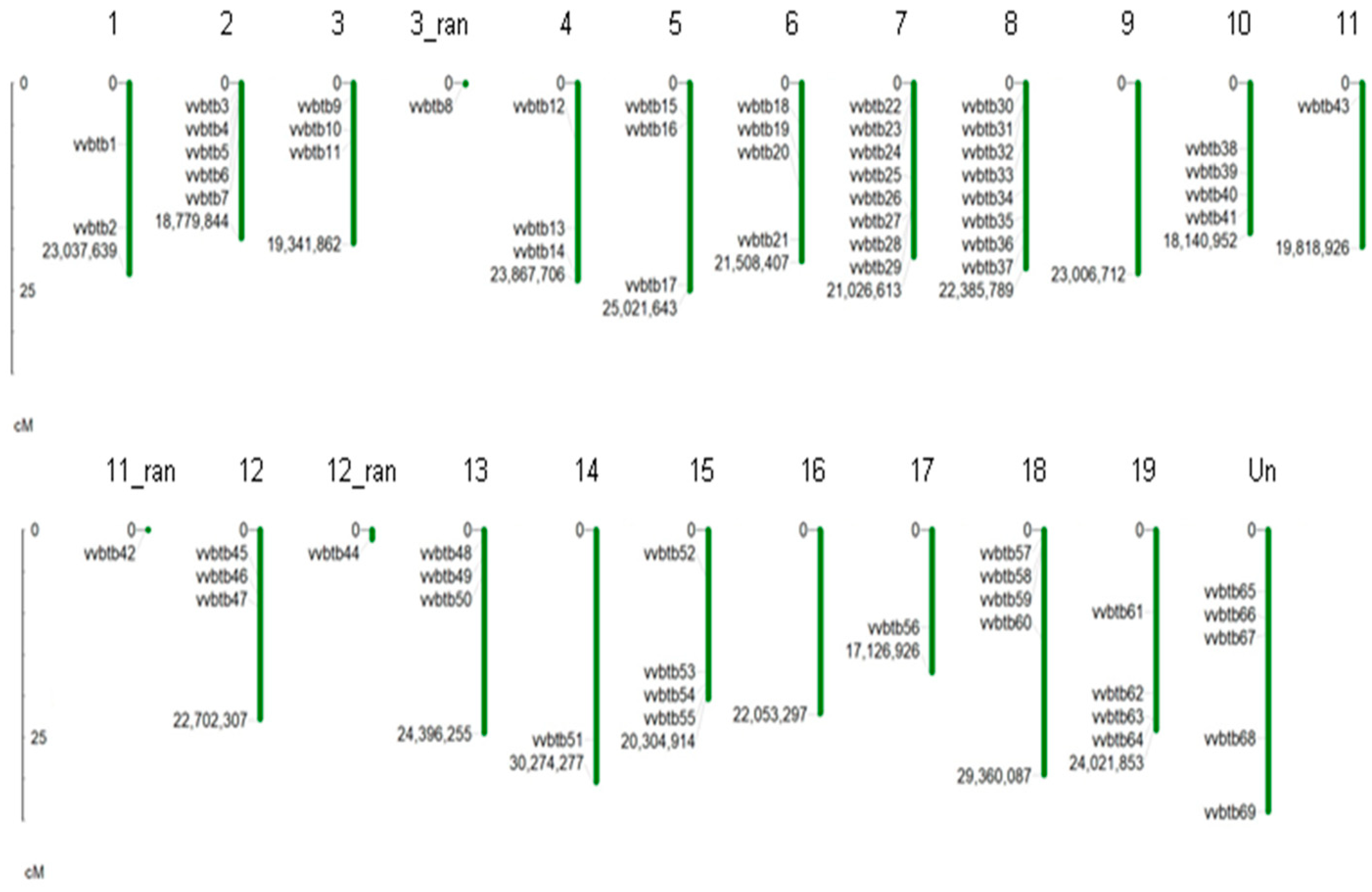 Agriculture 13 00252 g001
