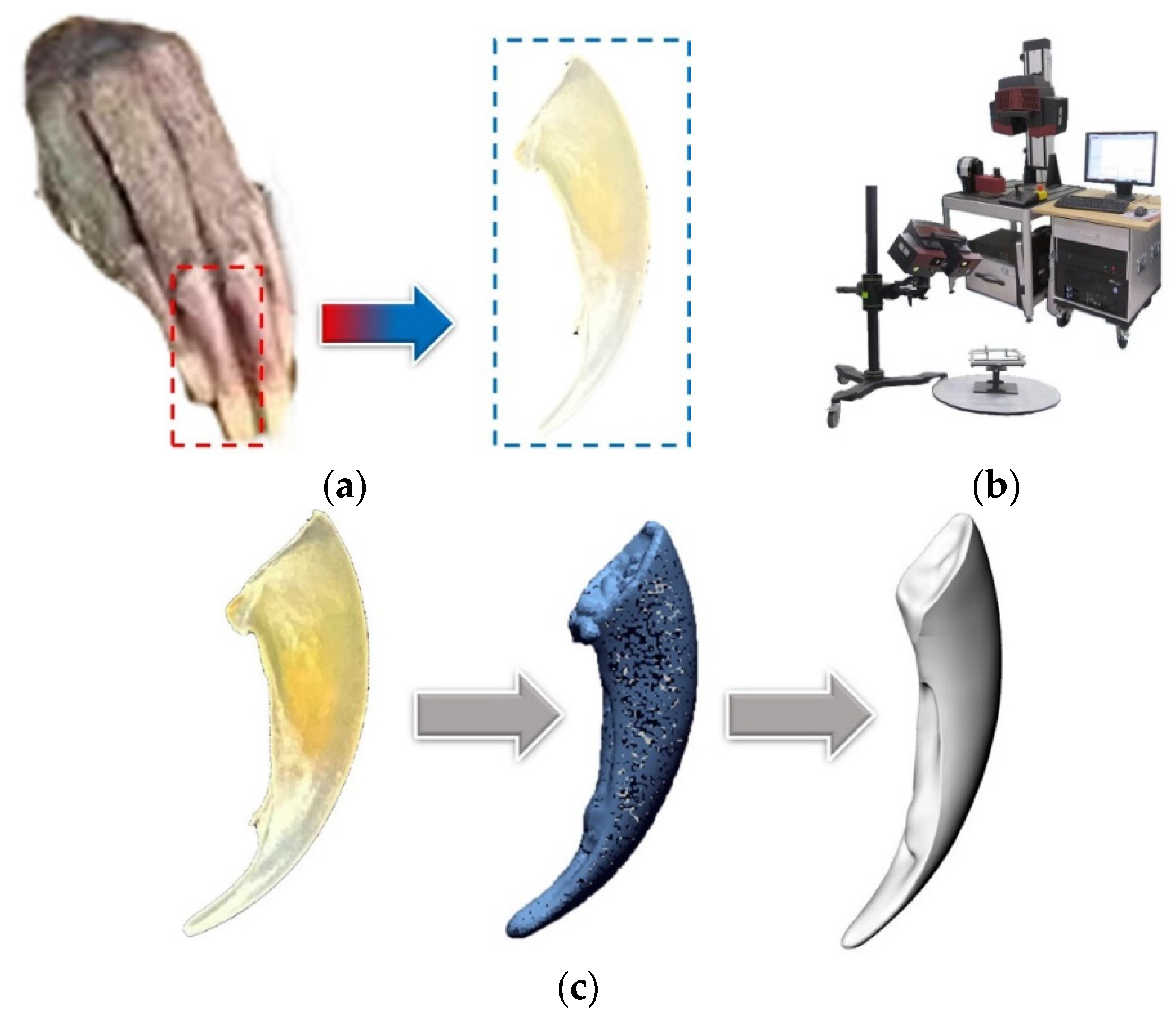 Agriculture 13 00254 g001