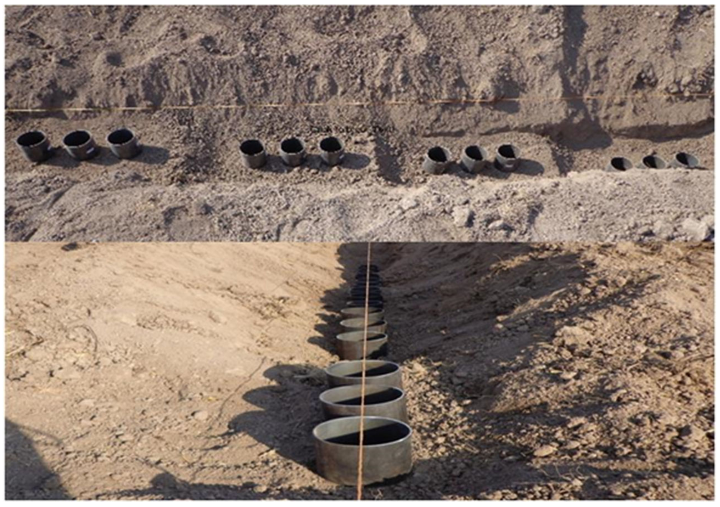 Agriculture 13 00259 g003