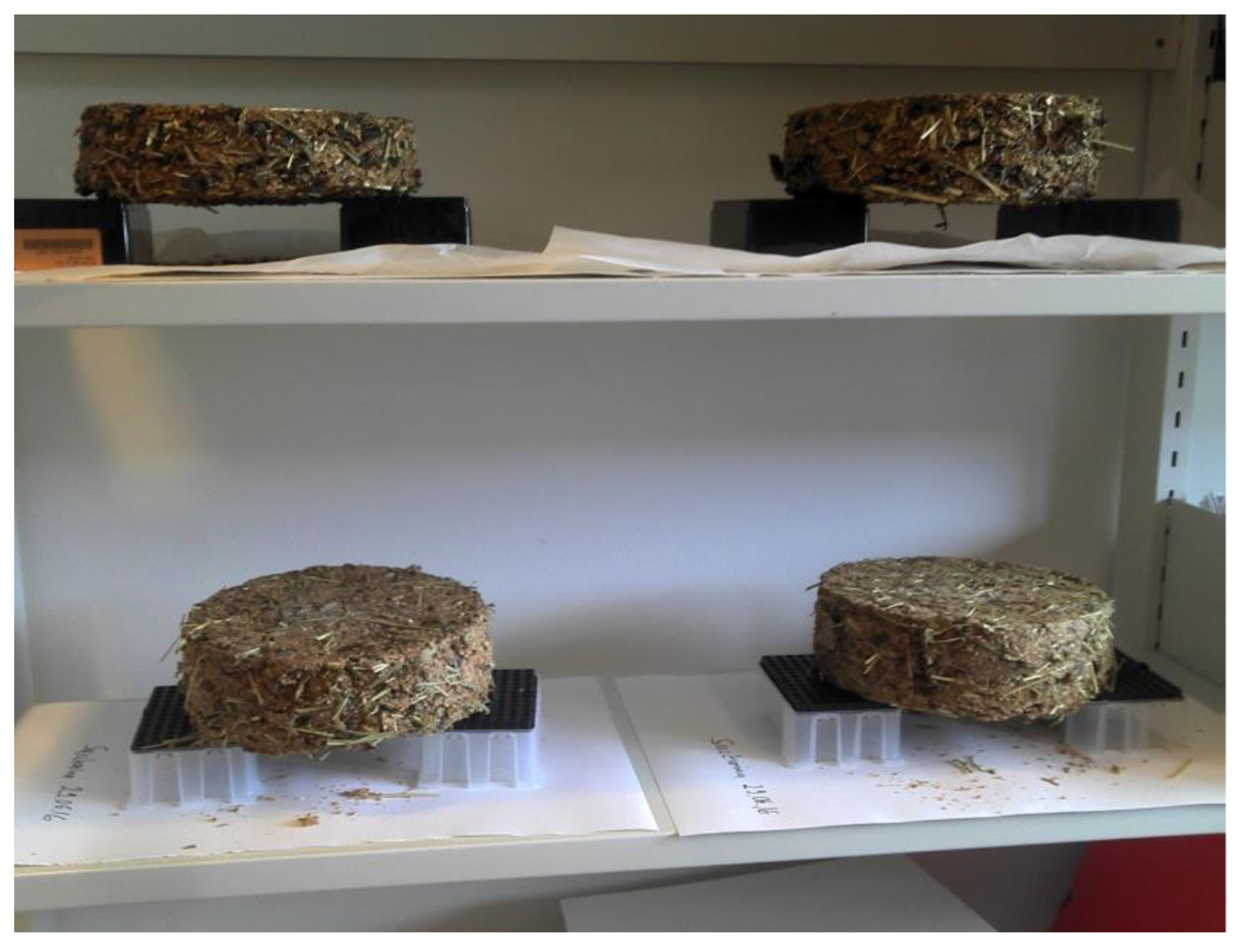 Agriculture 13 00263 g001