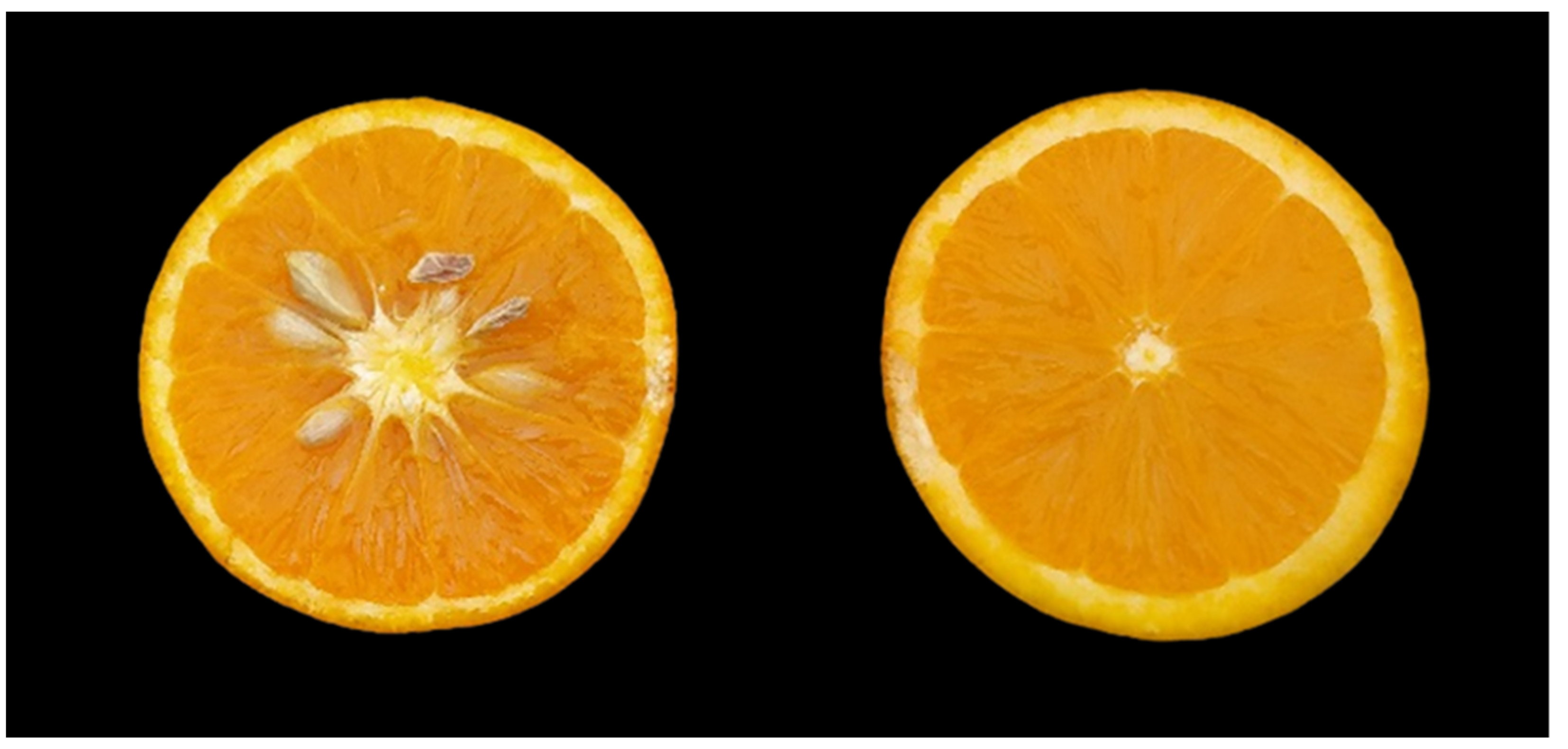 Agriculture 13 00264 g004