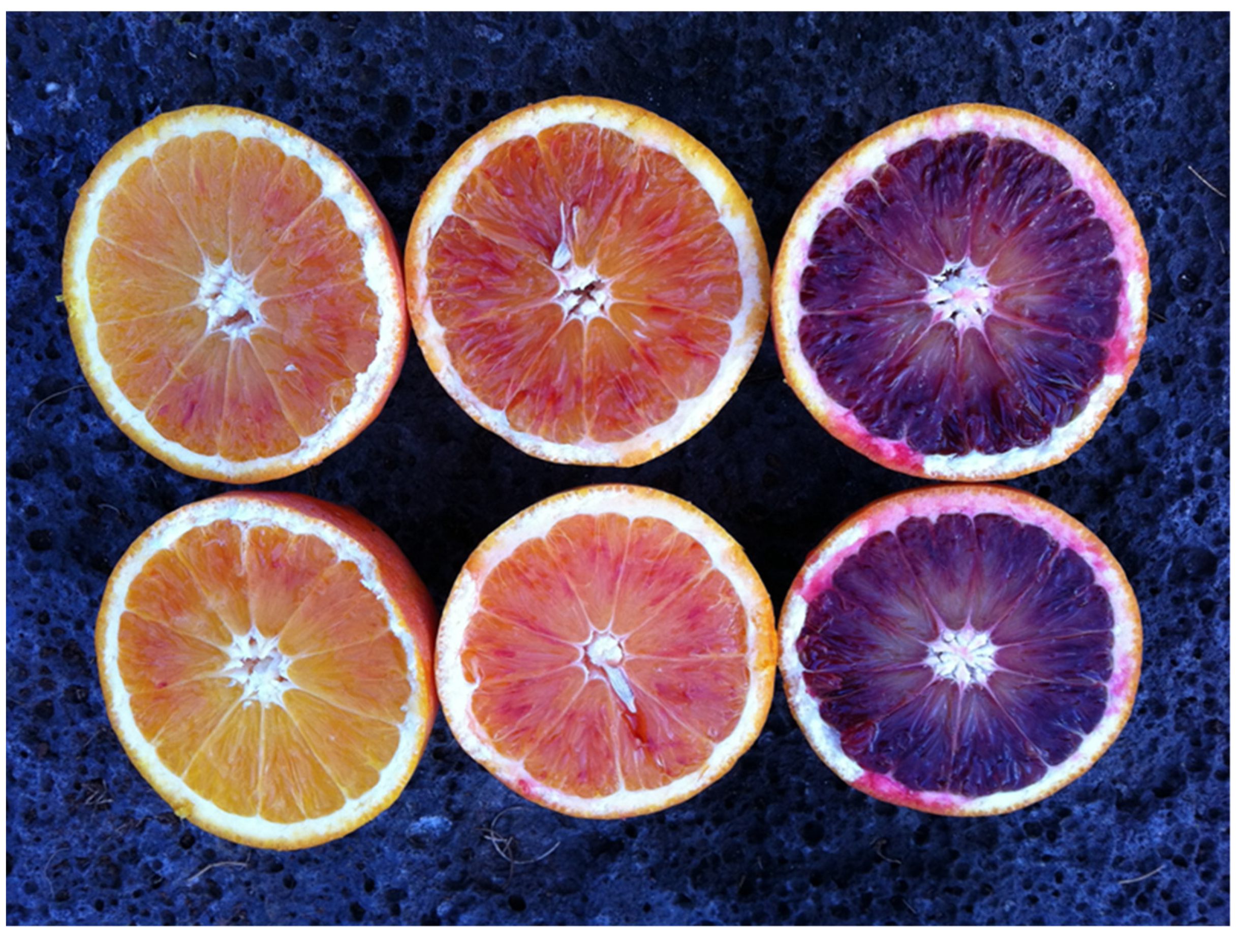 Agriculture 13 00264 g005