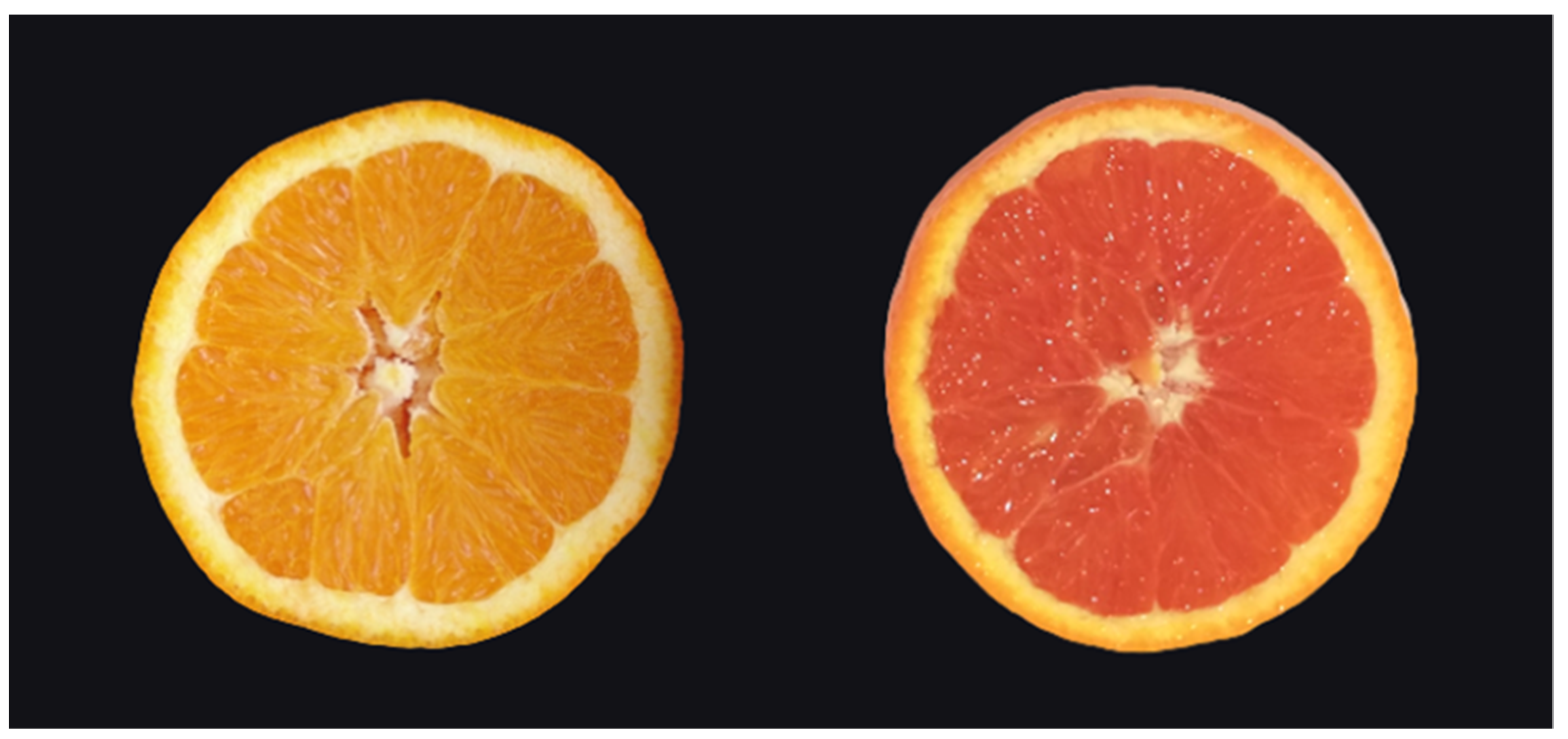 Agriculture 13 00264 g006