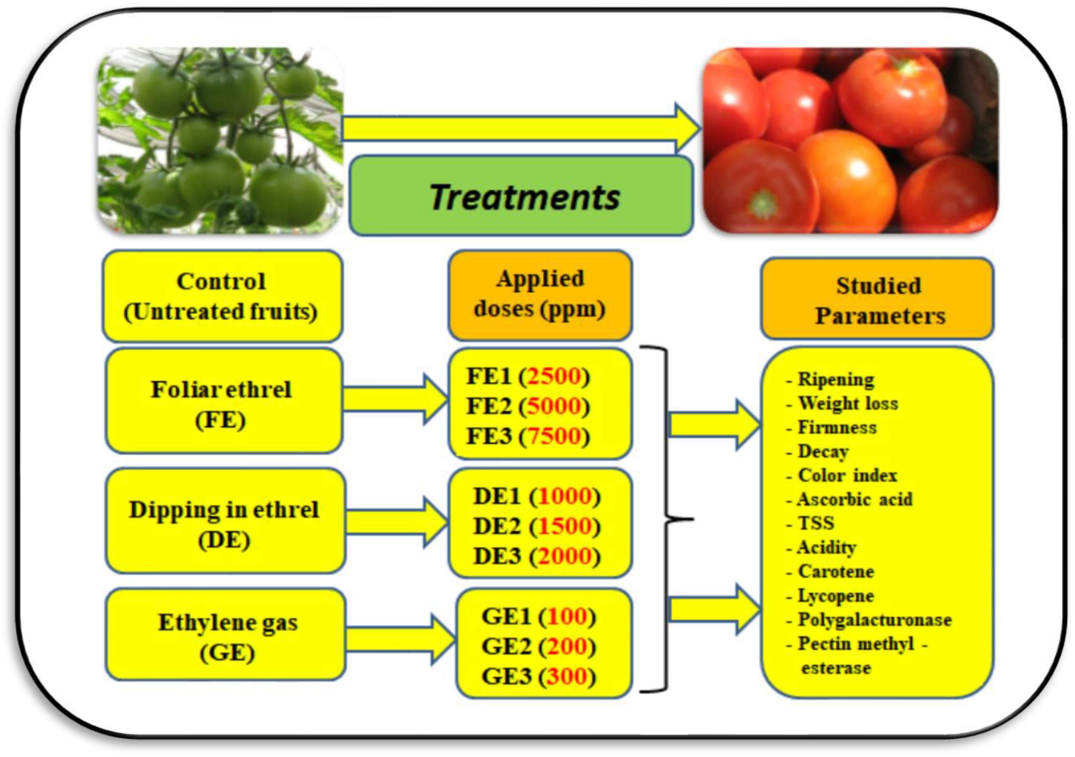 Agriculture 13 00266 g001
