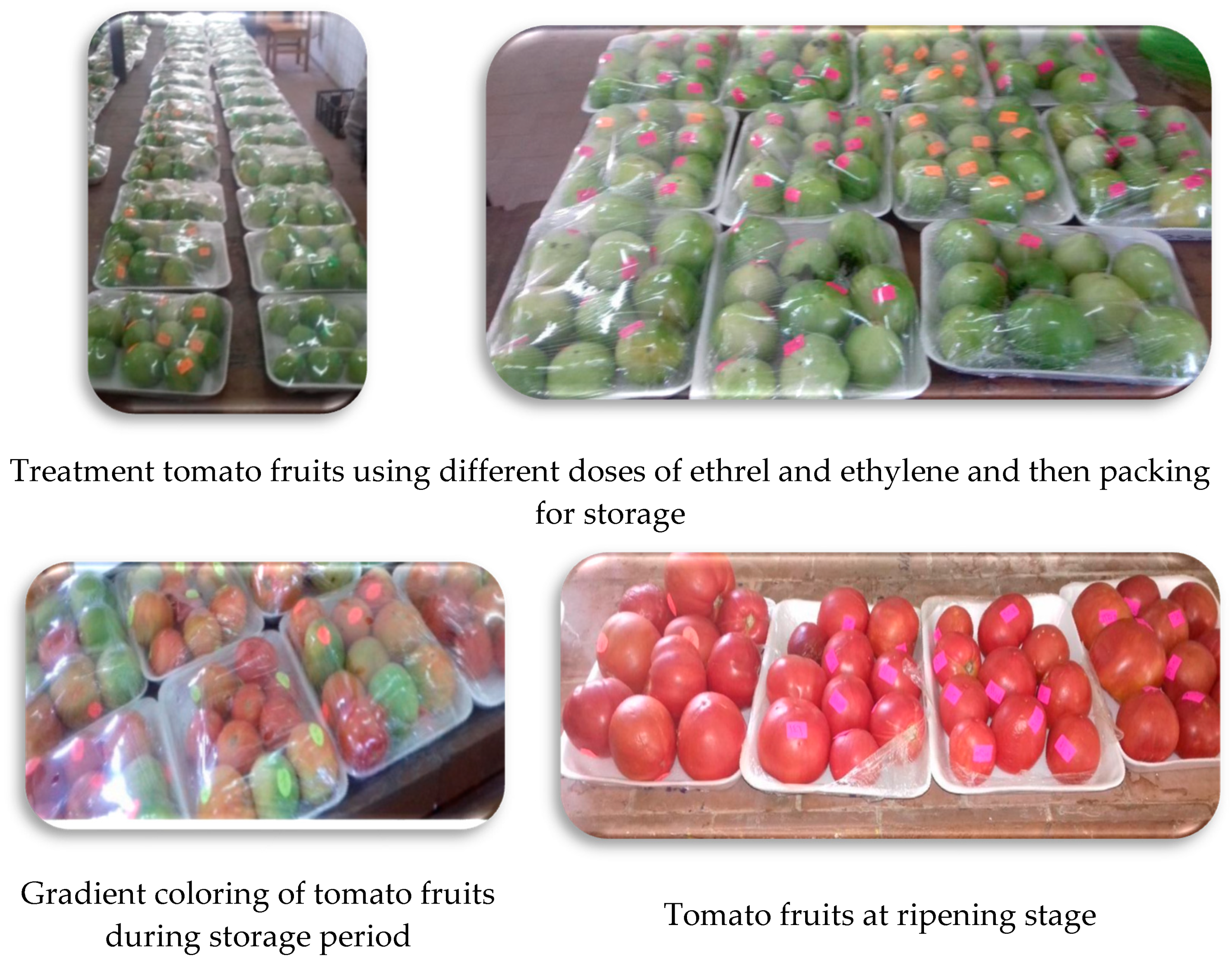 Agriculture 13 00266 g002b