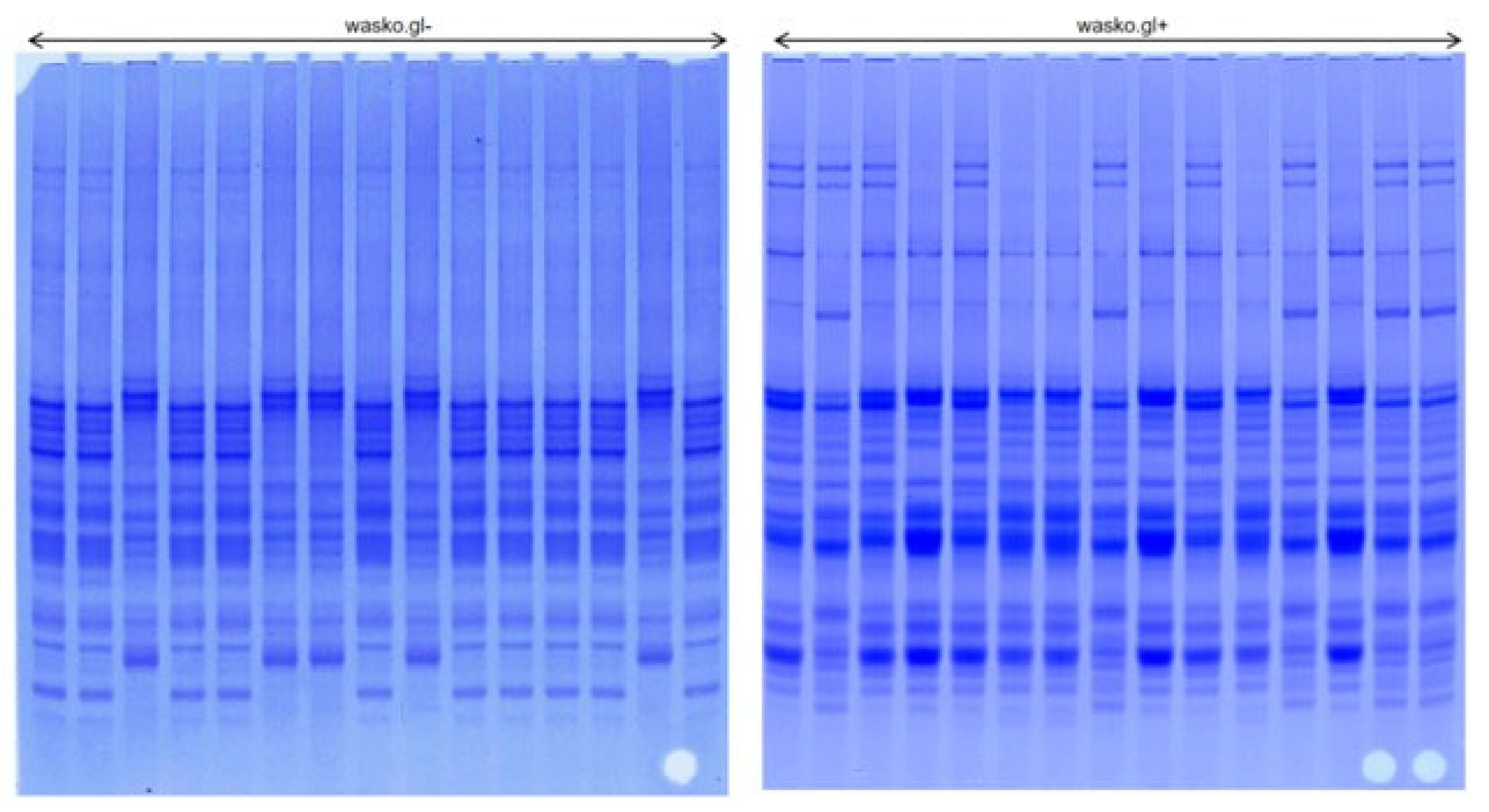 Agriculture 13 00282 g001
