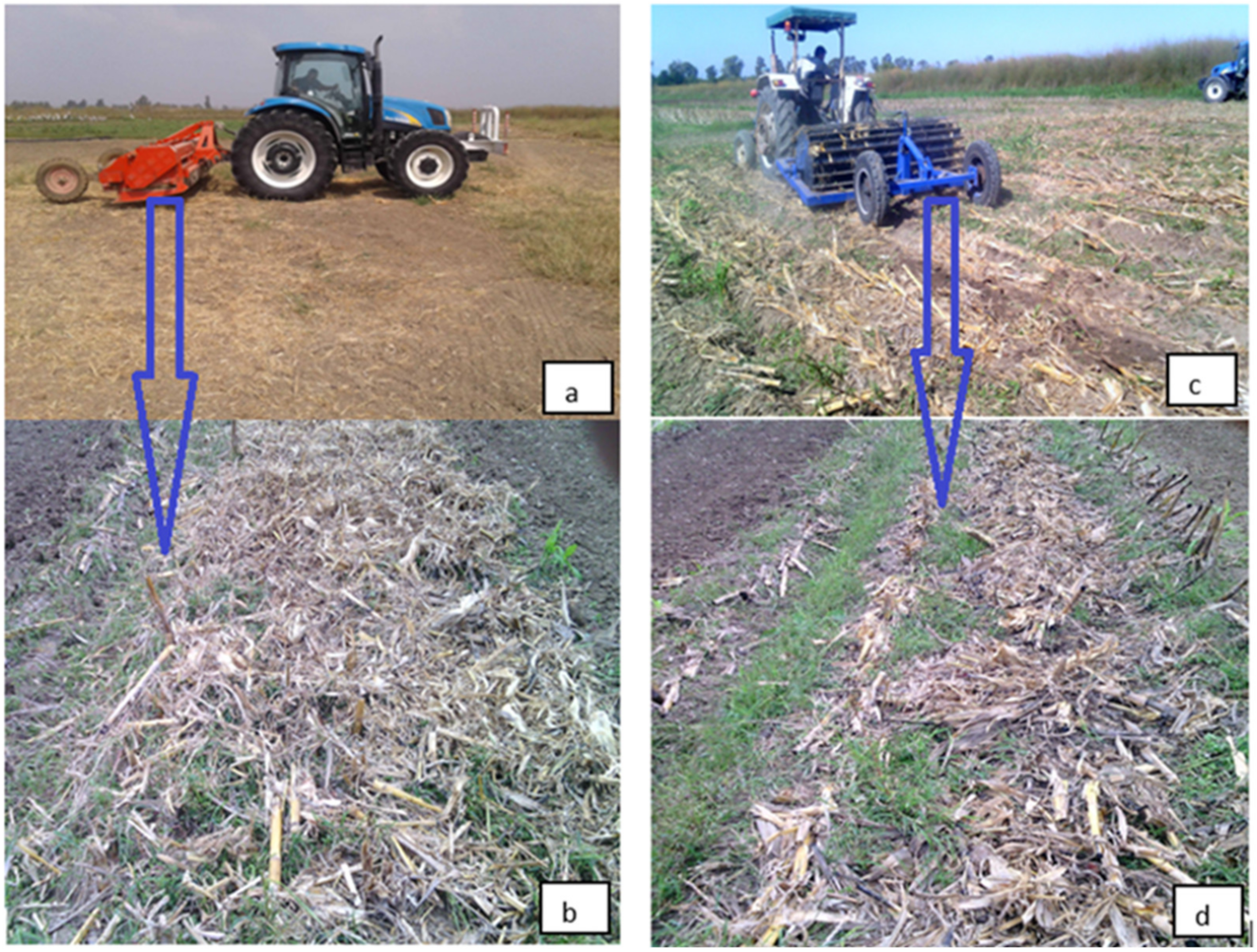 Agriculture 13 00289 g003