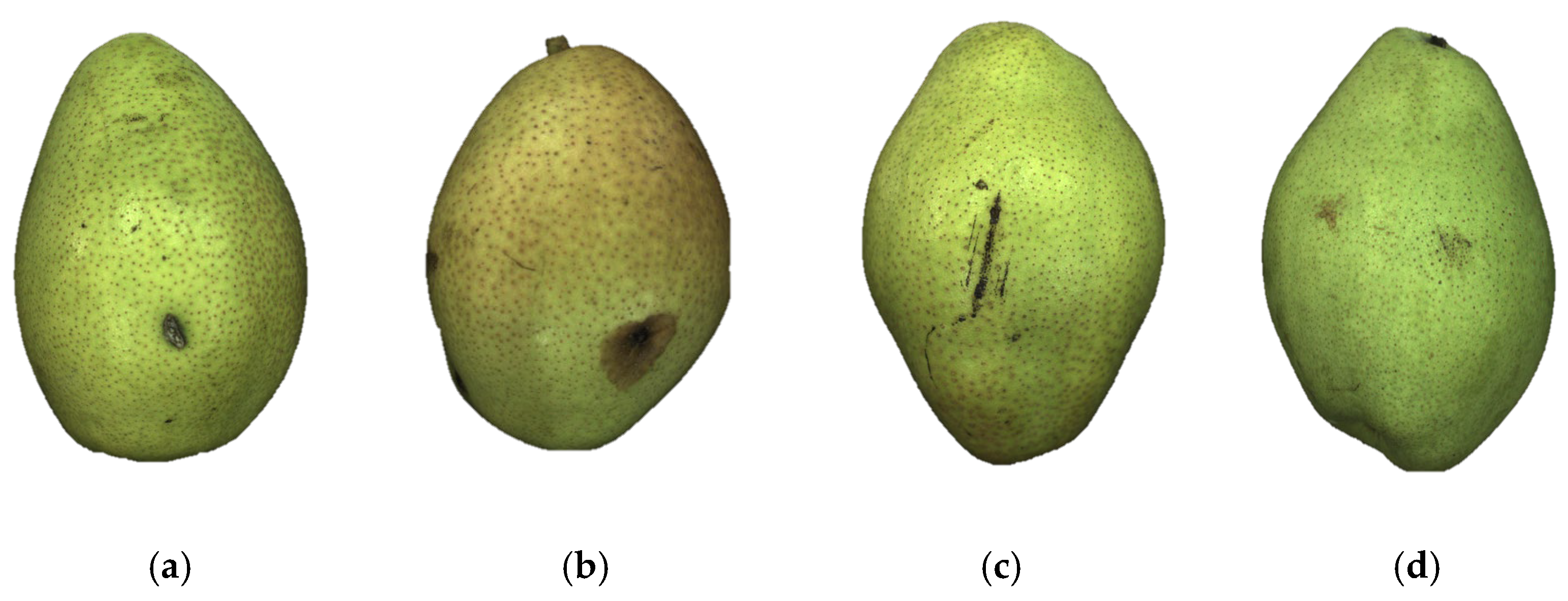 Agriculture 13 00290 g005