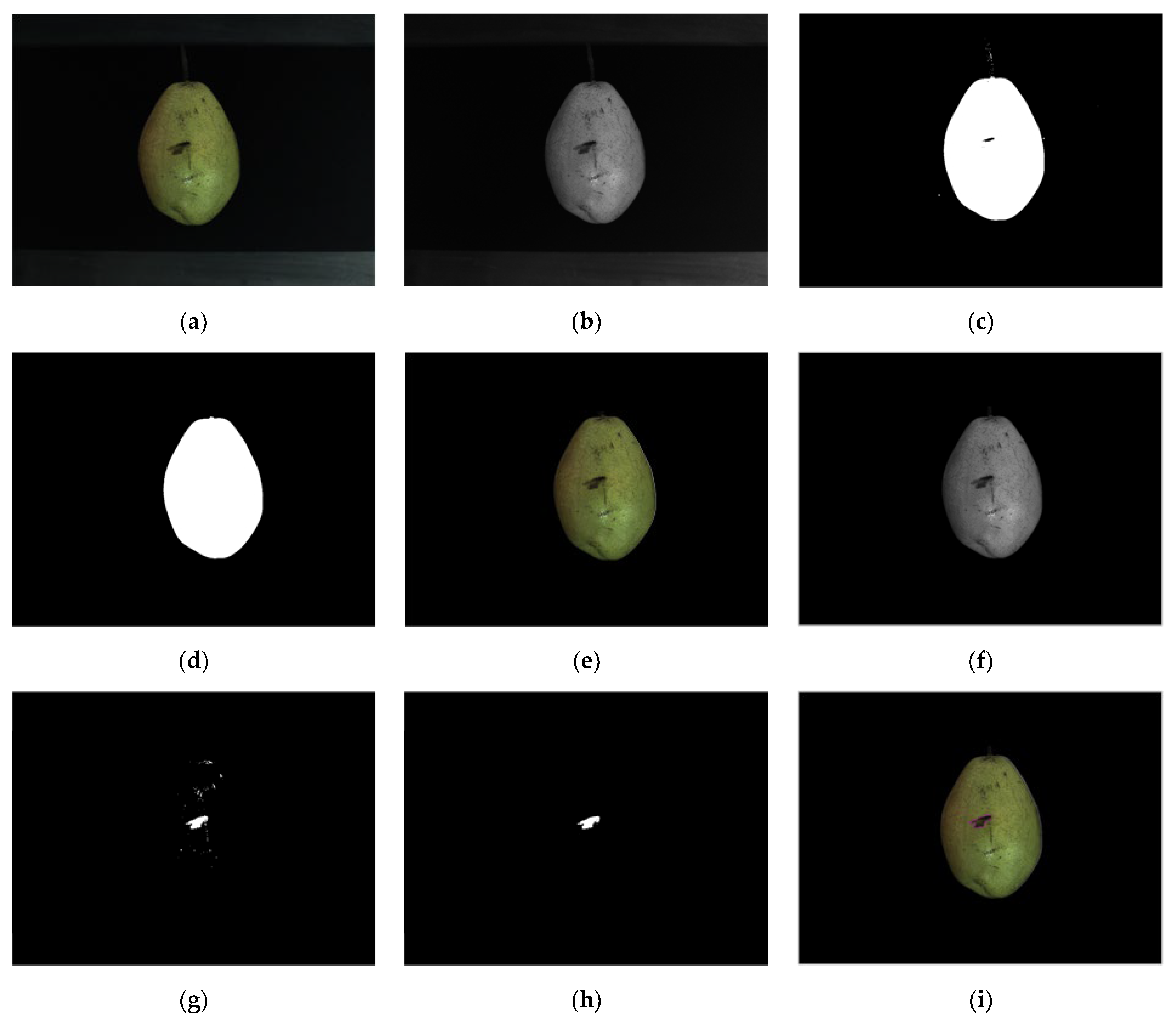 Agriculture 13 00290 g015