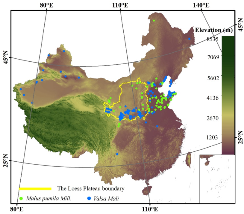 Agriculture 13 00291 g001