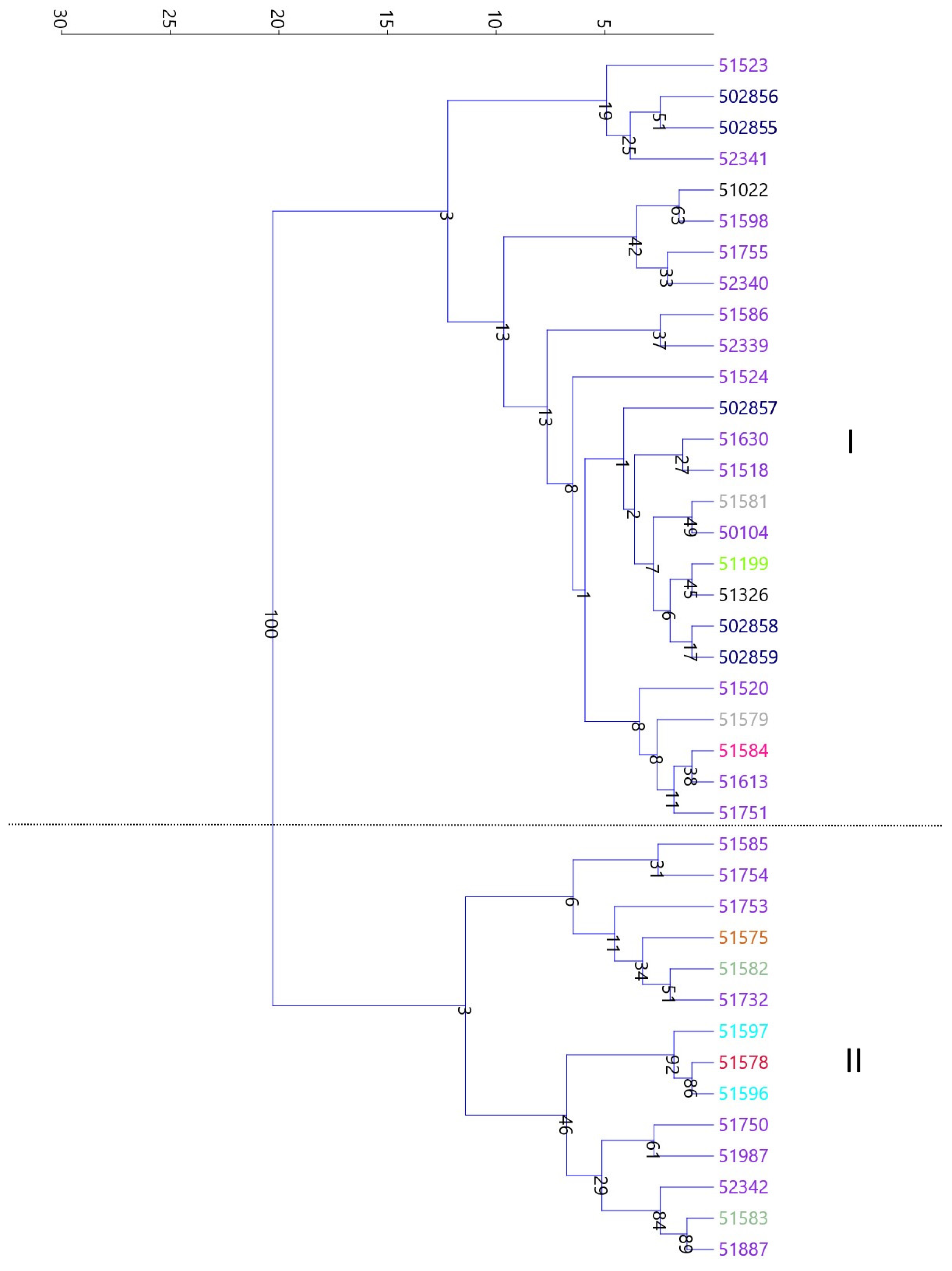 Agriculture 13 00296 g002