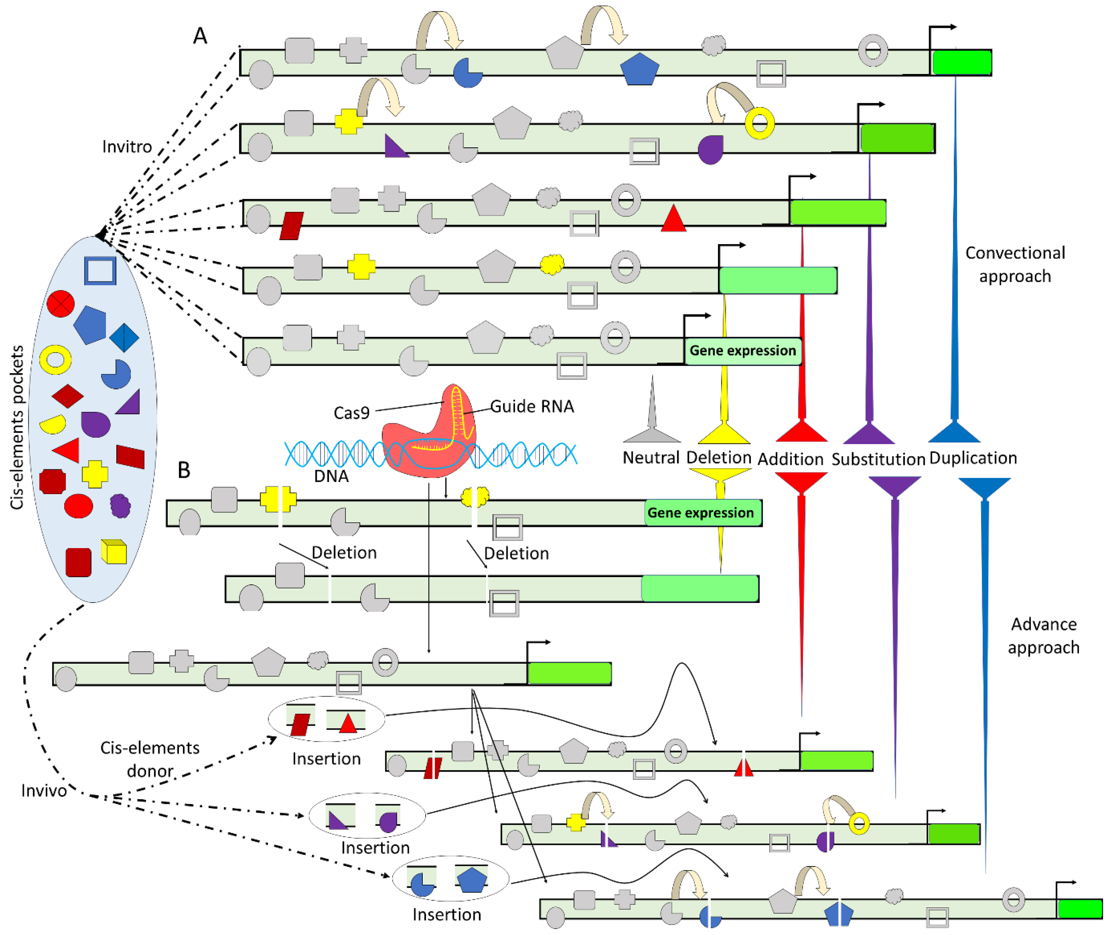 Agriculture 13 00298 g003