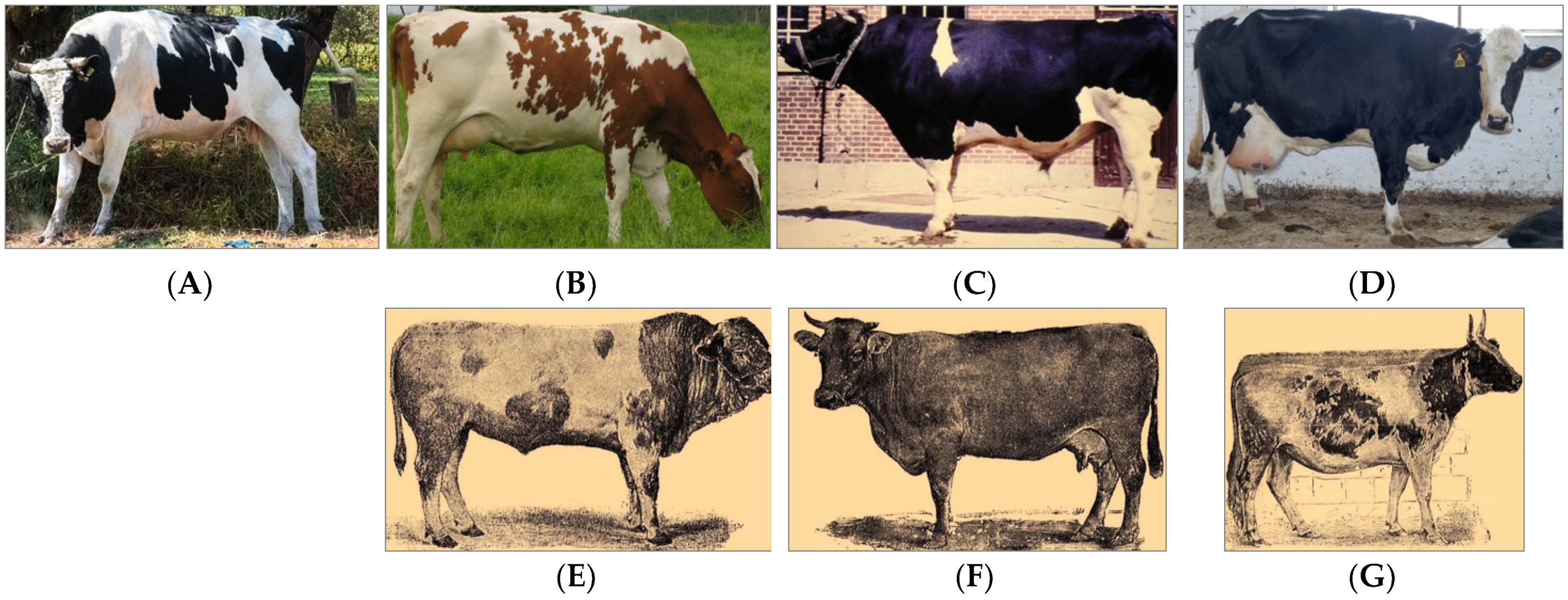 Agriculture 13 00299 g001 Agriculture 13 00299 g001