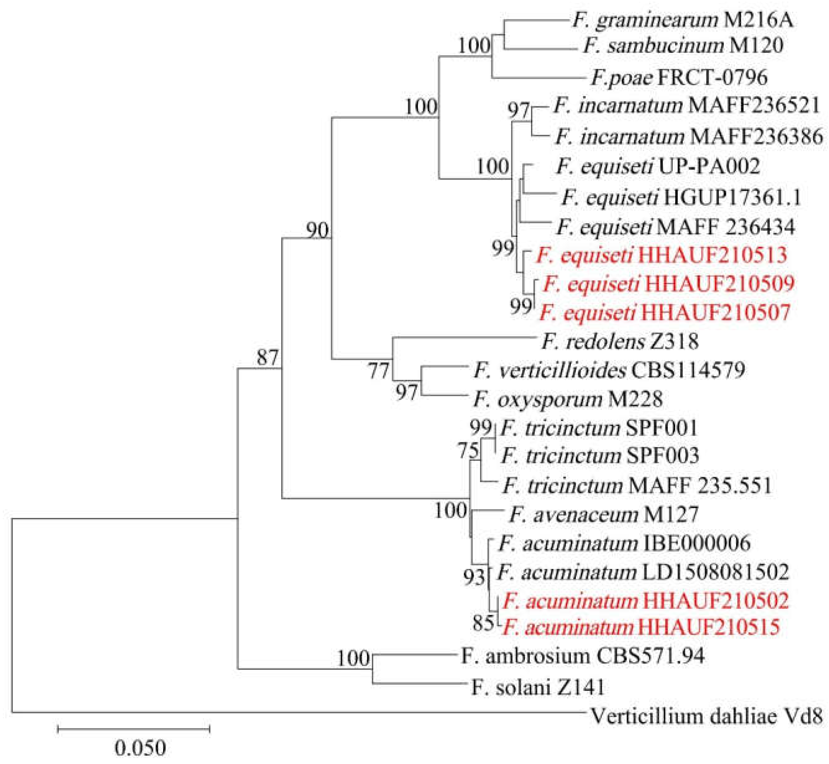 Agriculture 13 00301 g003