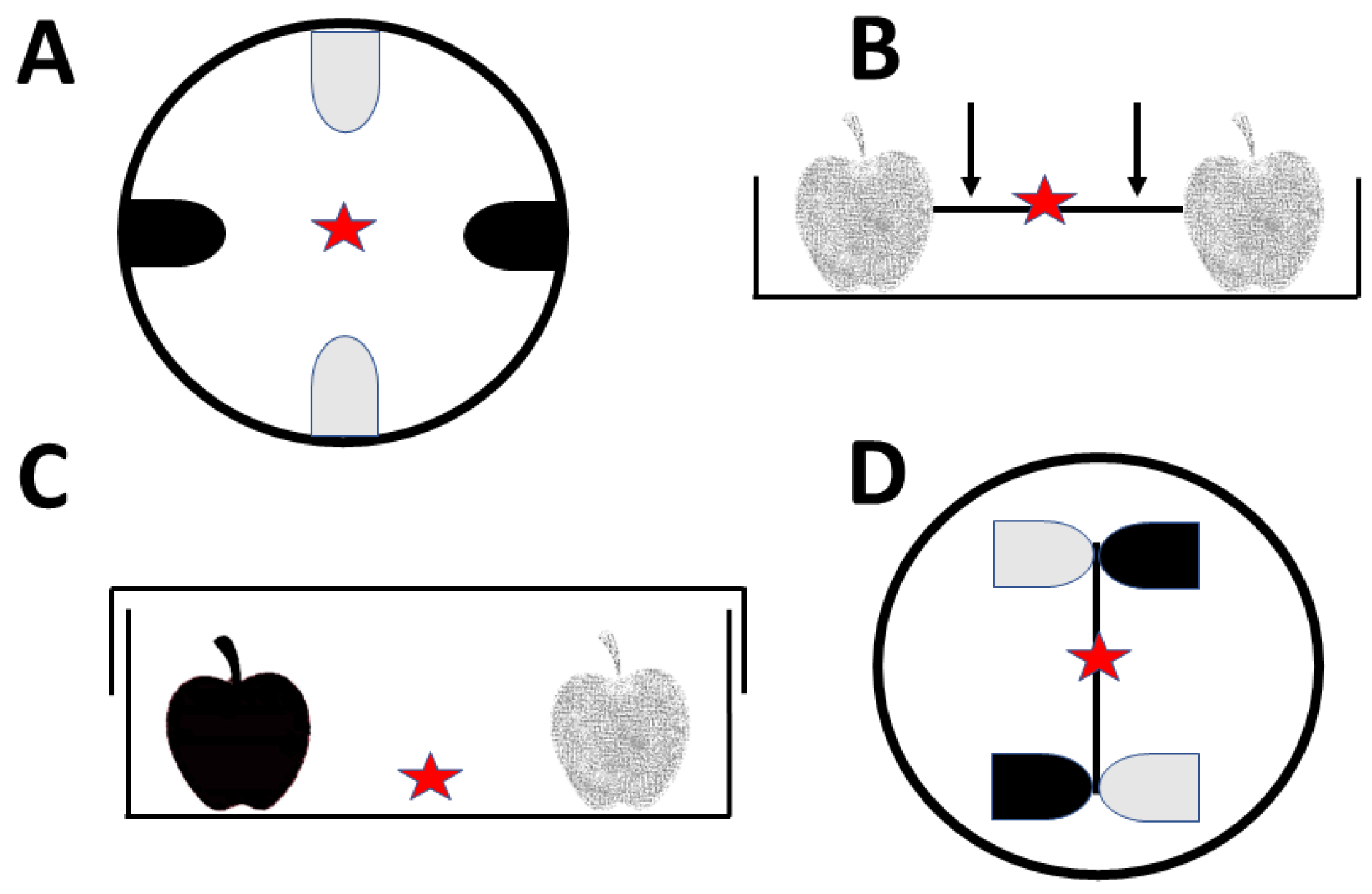 Agriculture 13 00311 g001