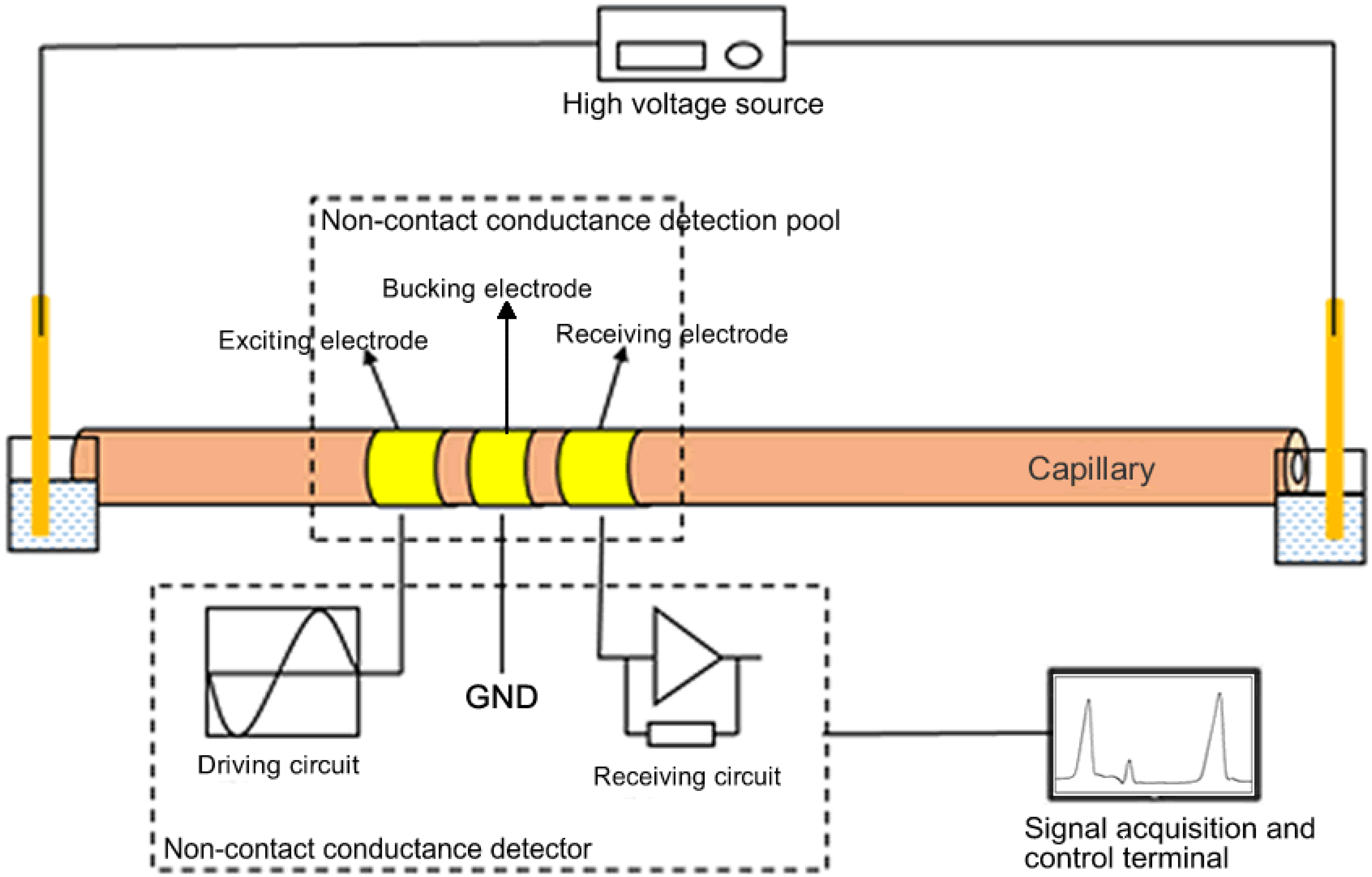 Agriculture 13 00313 g002
