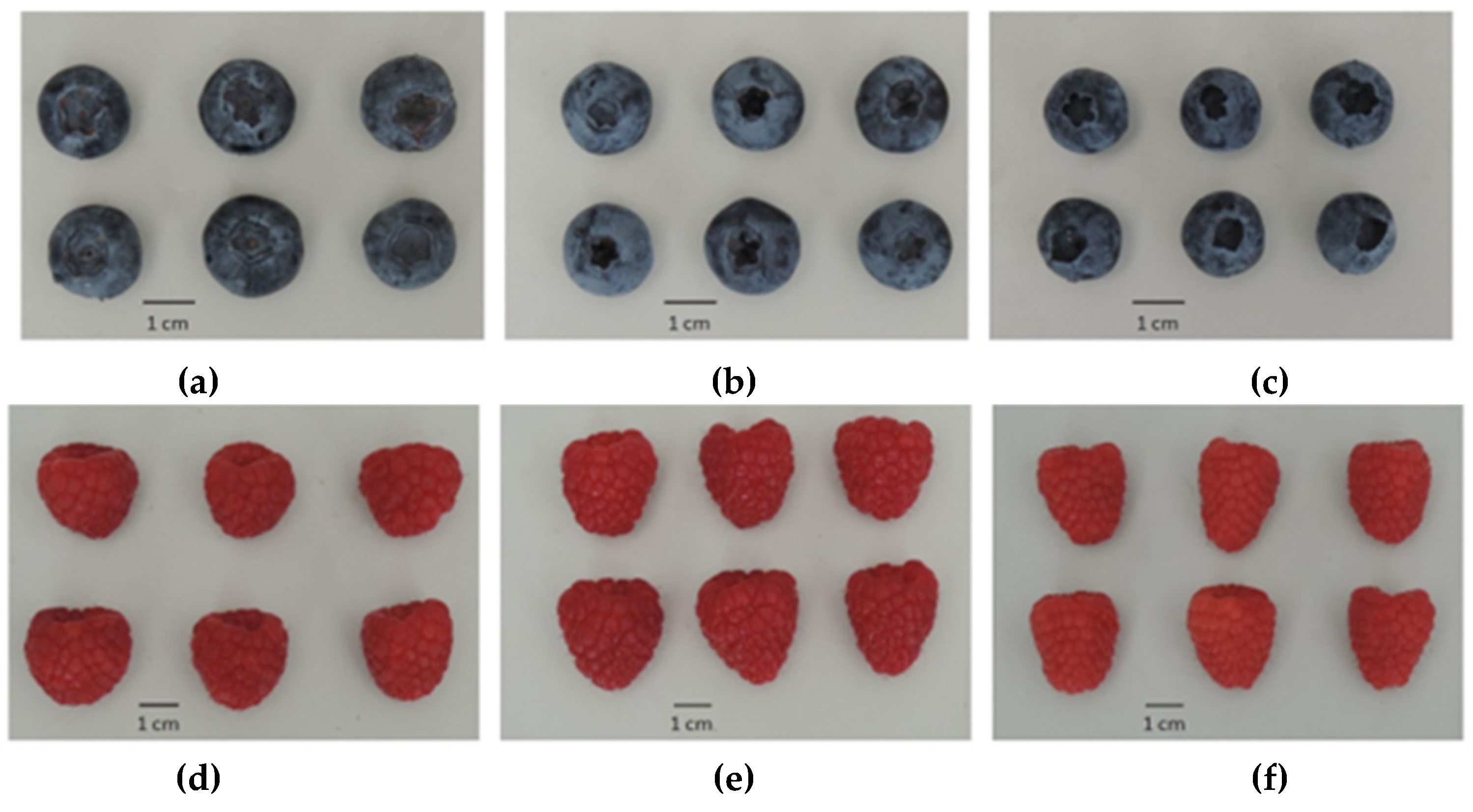 Agriculture 13 00314 g001