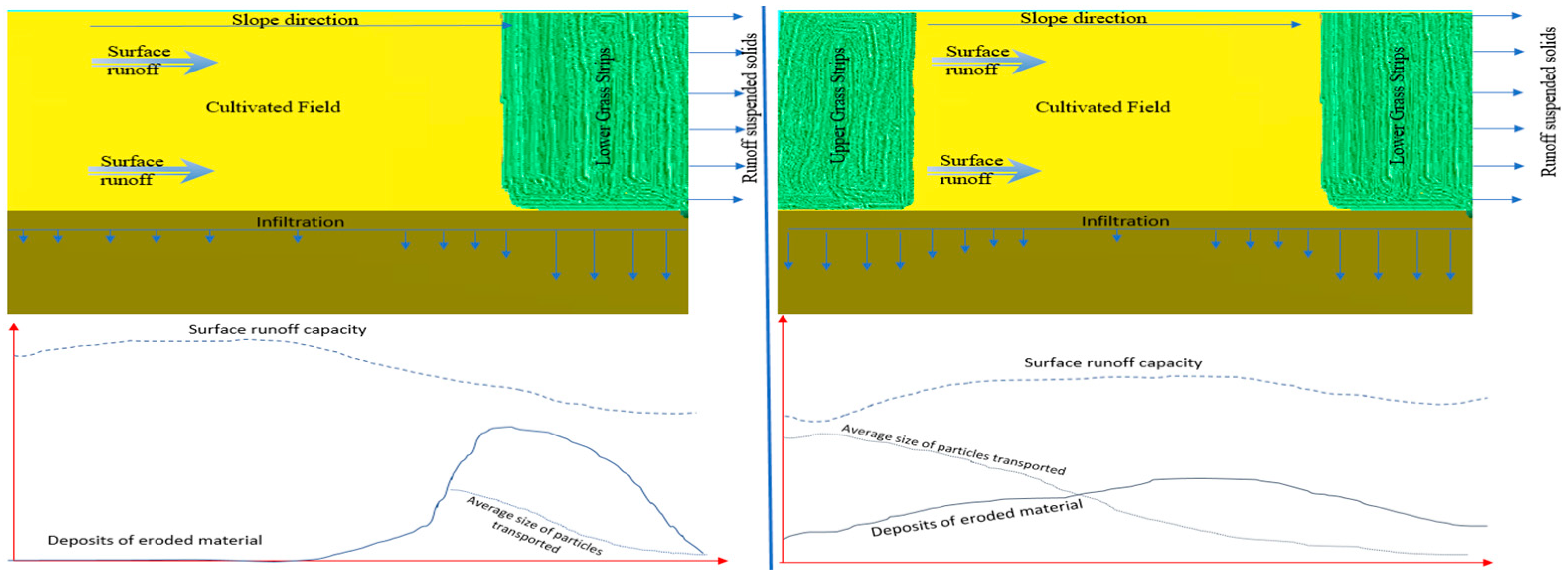 Agriculture 13 00318 g008
