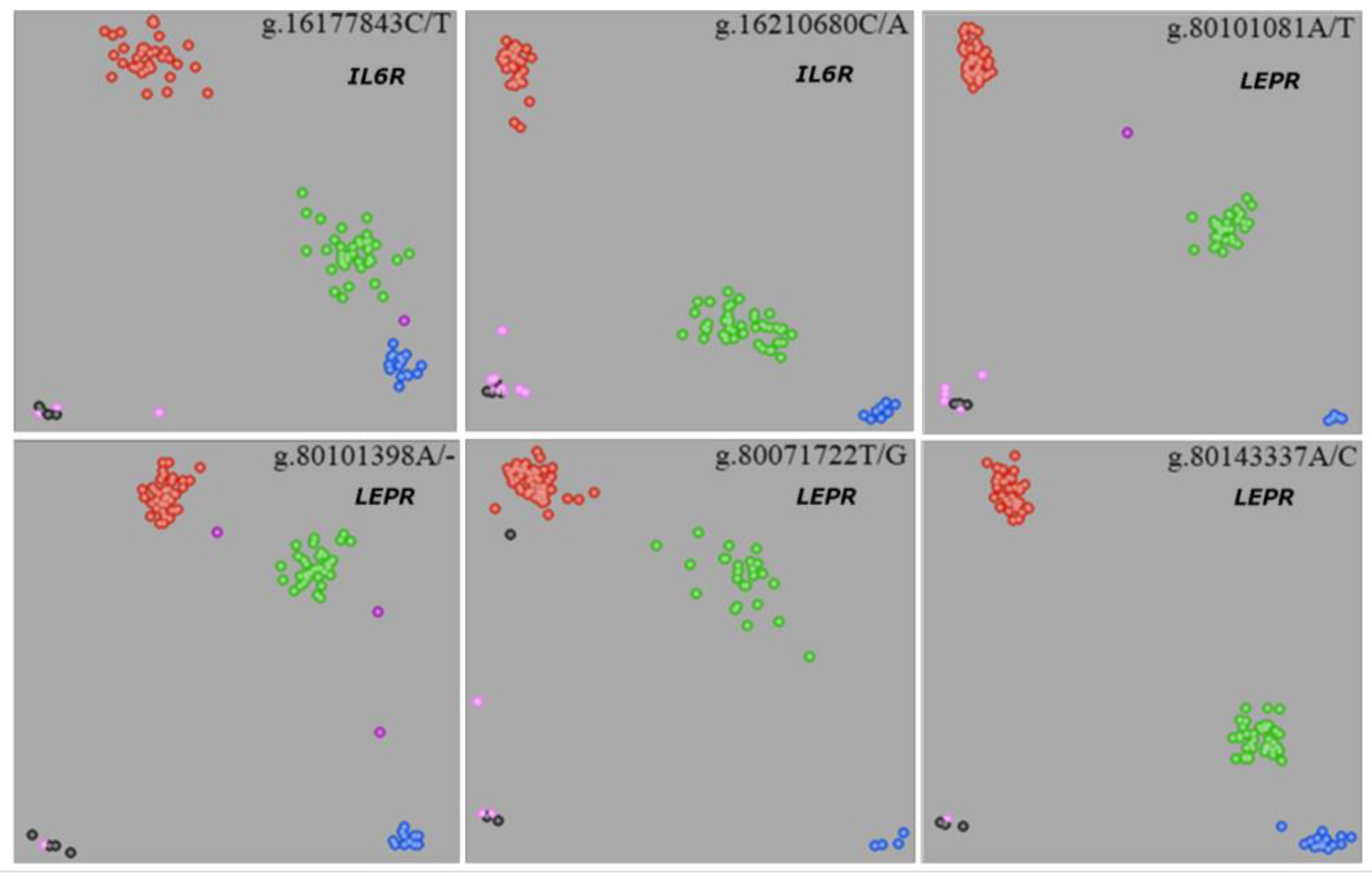 Agriculture 13 00321 g001
