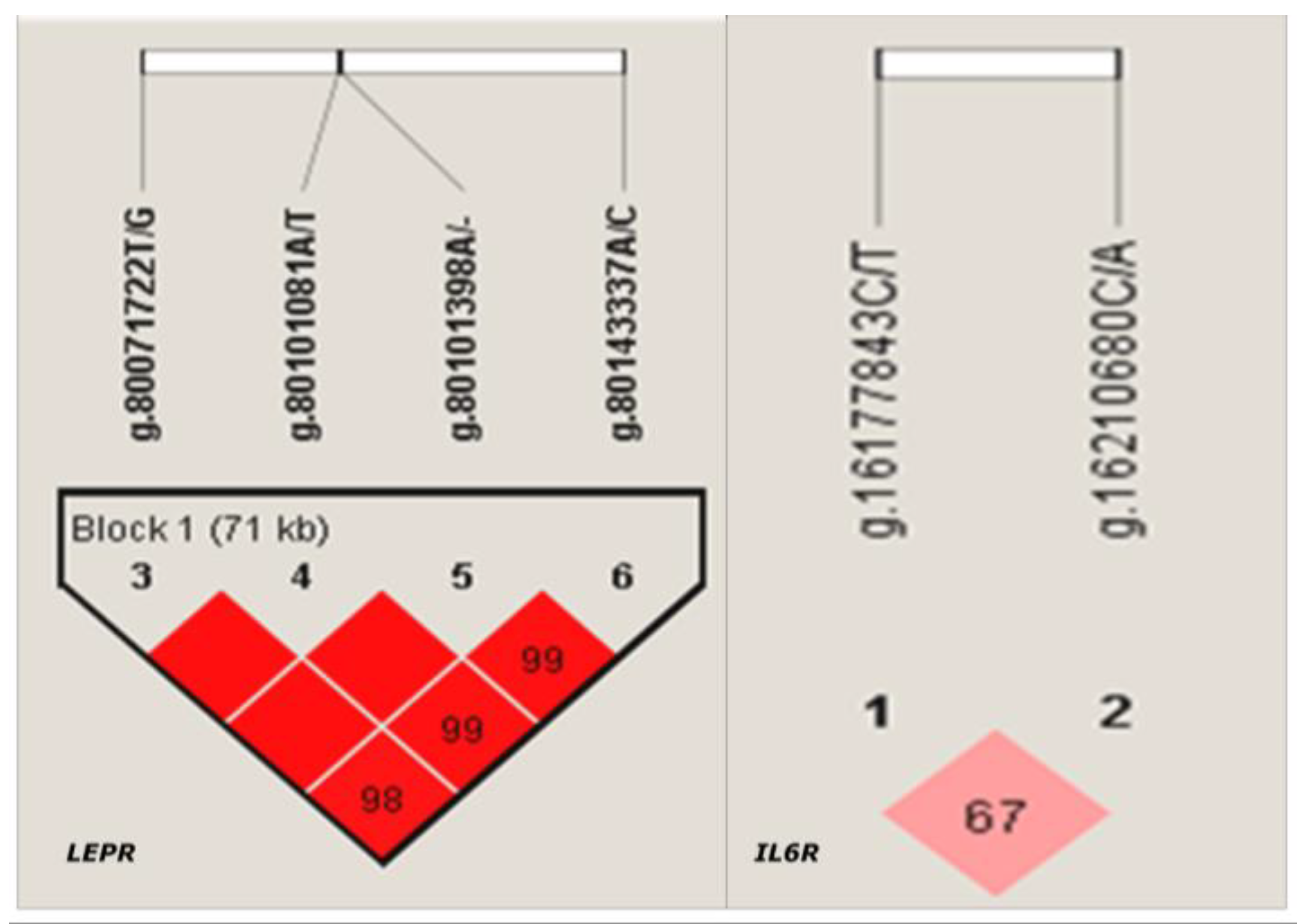 Agriculture 13 00321 g002